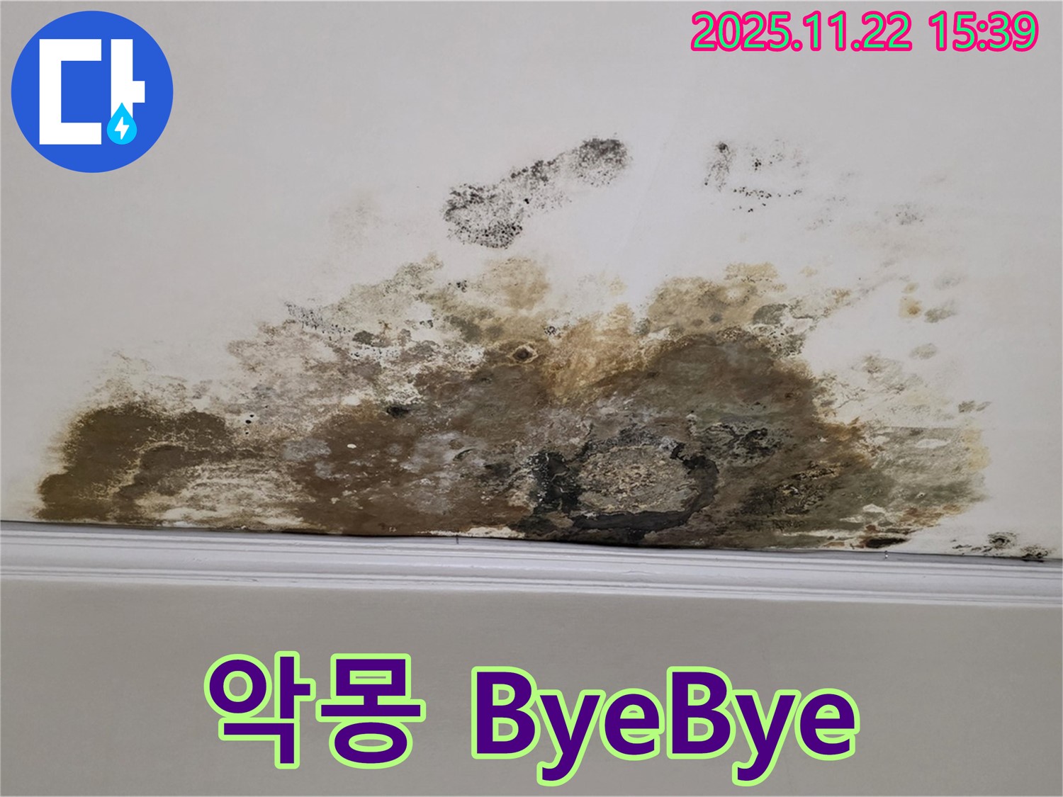 용강동 아파트 누수 - 곰팡이와의 악몽 ByeBye, 쾌적한 공간에서 행복 충전 완료!