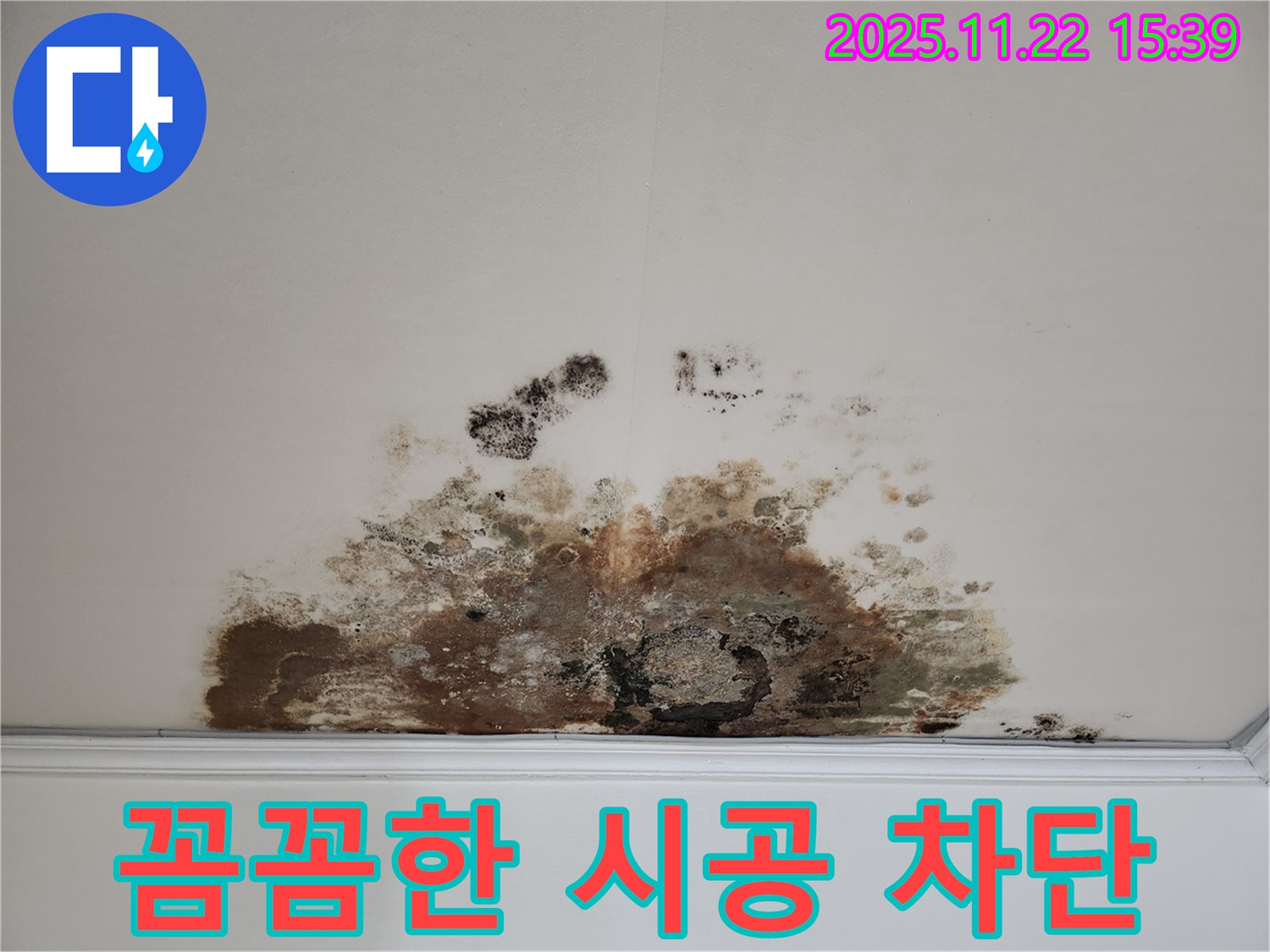 용강동 아파트 천장 - 곰팡이 누수, 꼼꼼한 시공으로 완벽 차단