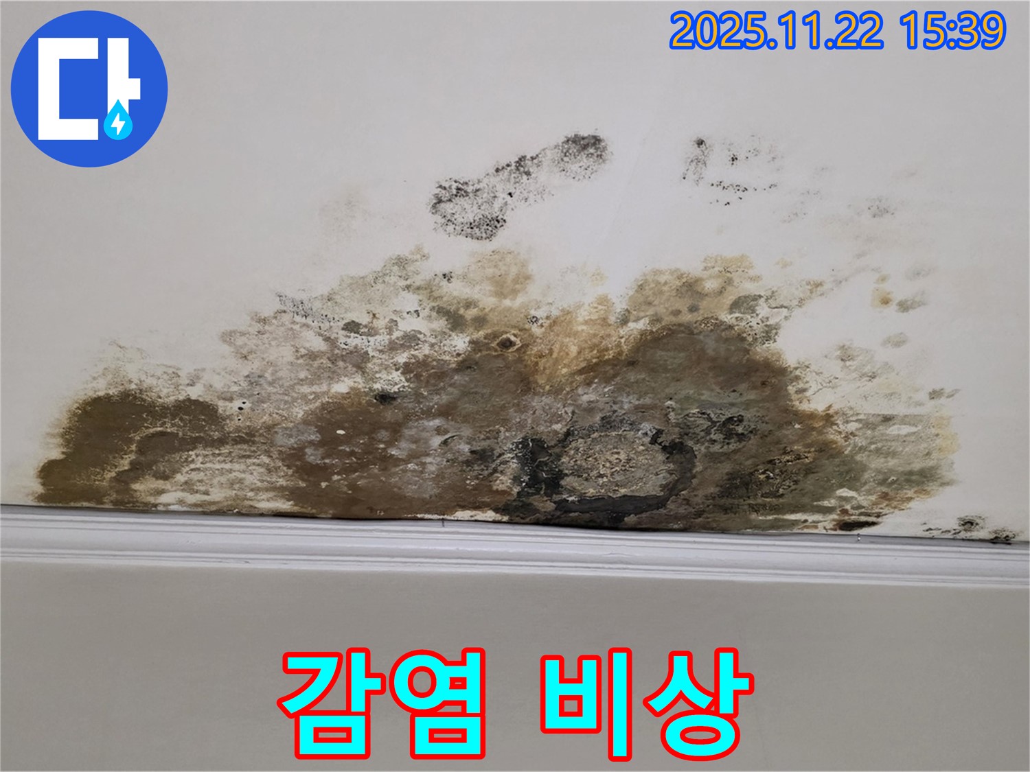 용강동 아파트 천장 누수 - 곰팡이 감염 비상, 긴급 치료 프로젝트 시작!