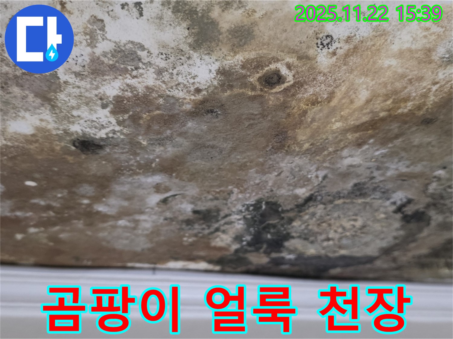 용강동 천장 누수 - 곰팡이 싹쓸이 - 완벽 방수 시공으로 누수 재발 방지