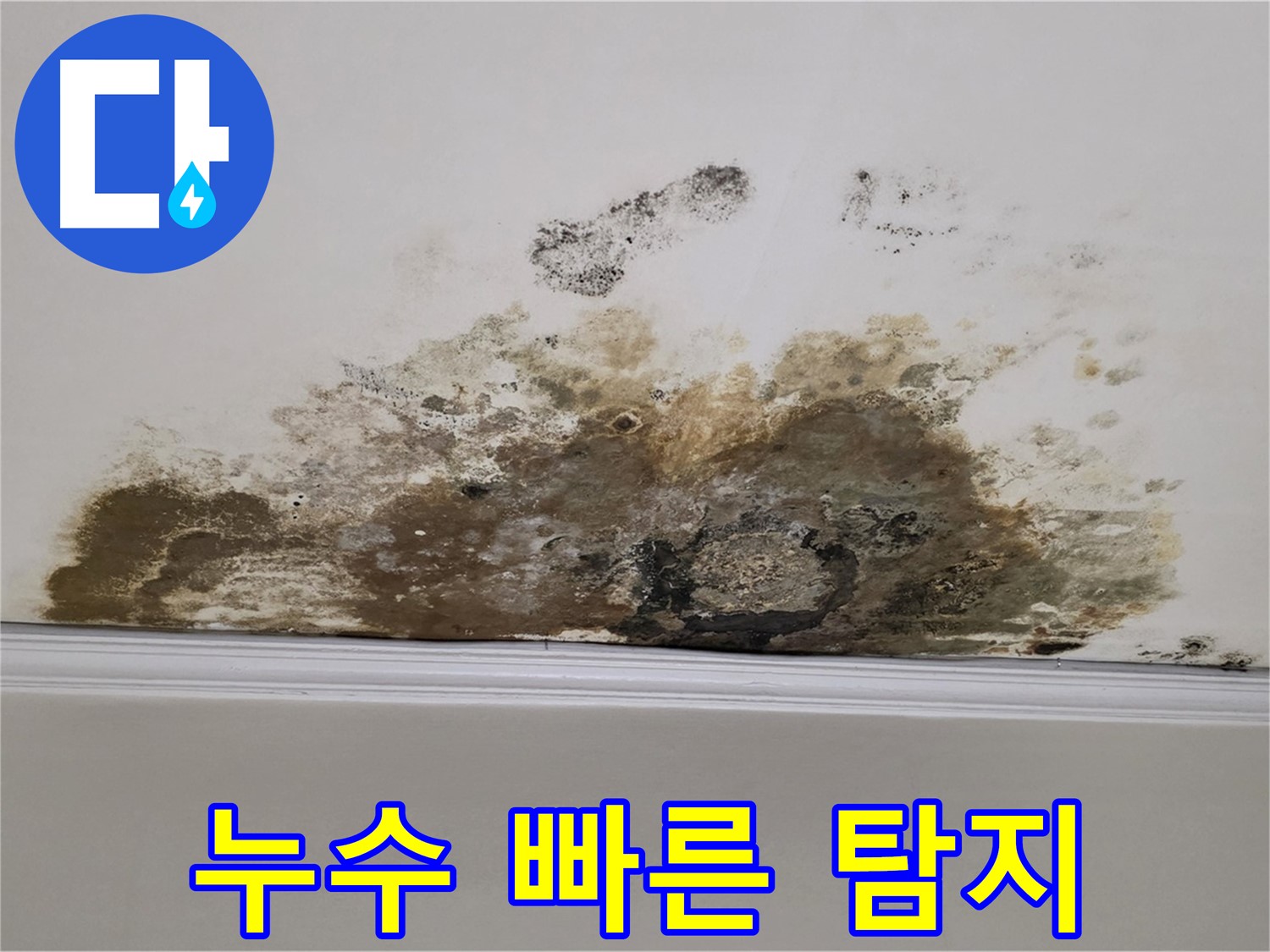 용강동 현대홈타운 누수 - 빠른 누수 탐지와 정확한 공사로 완벽 해결
