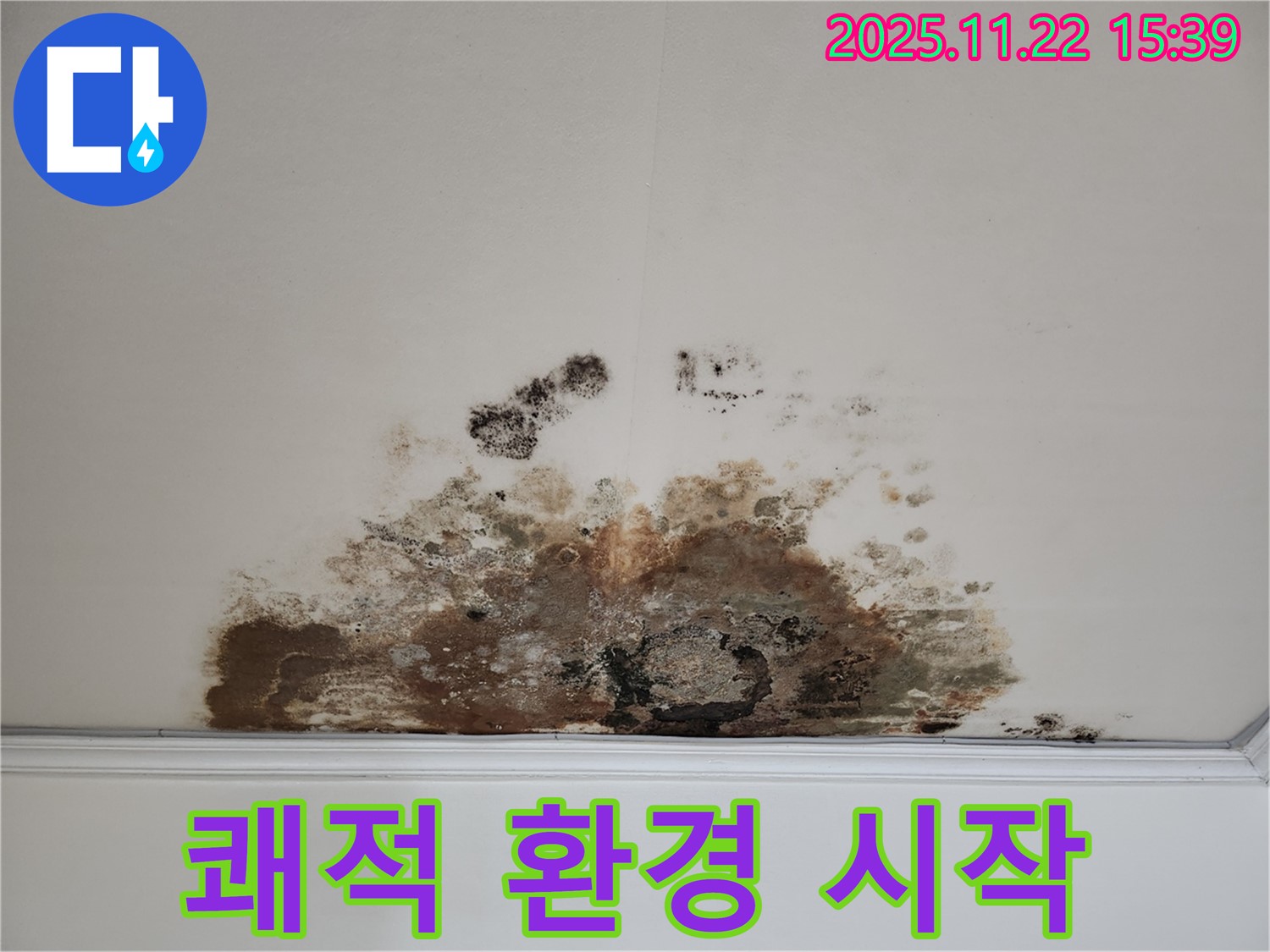 용강동 현대홈타운 아파트 - 곰팡이 누수, 쾌적한 실내 환경을 위한 첫걸음!