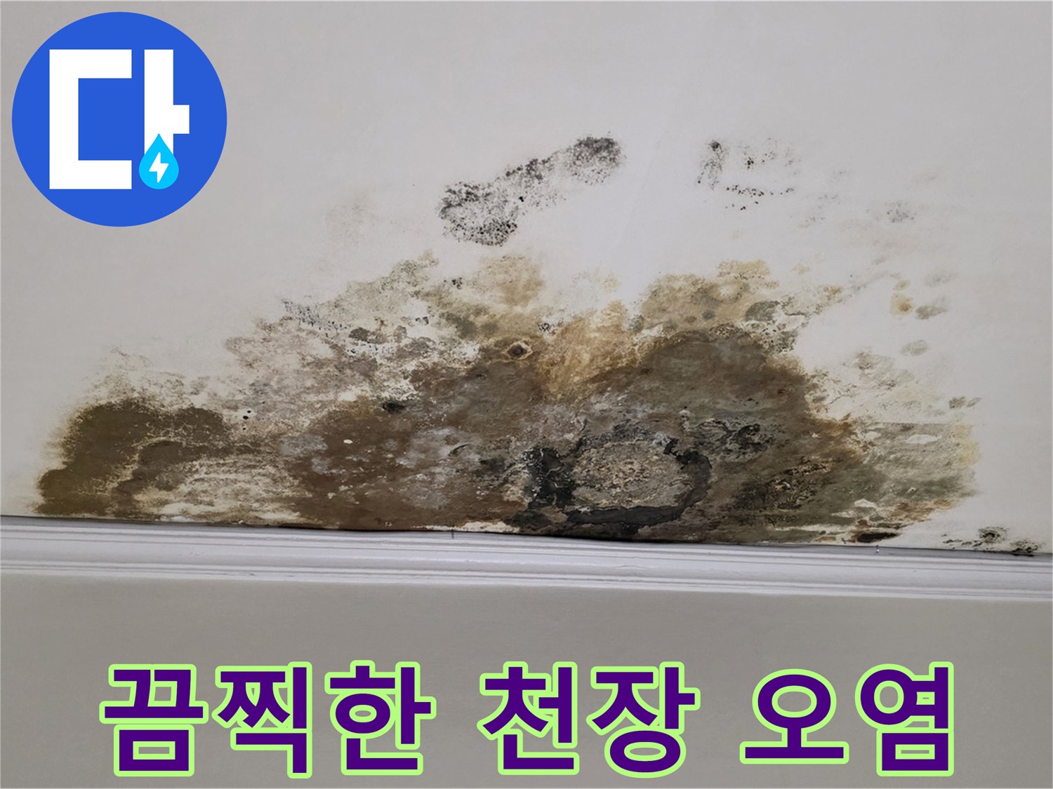 용강동 현대홈타운 아파트 누수 - 곰팡이 제거 전 끔찍한 천장 오염 상태 꼼꼼 점검 및 상세 공개