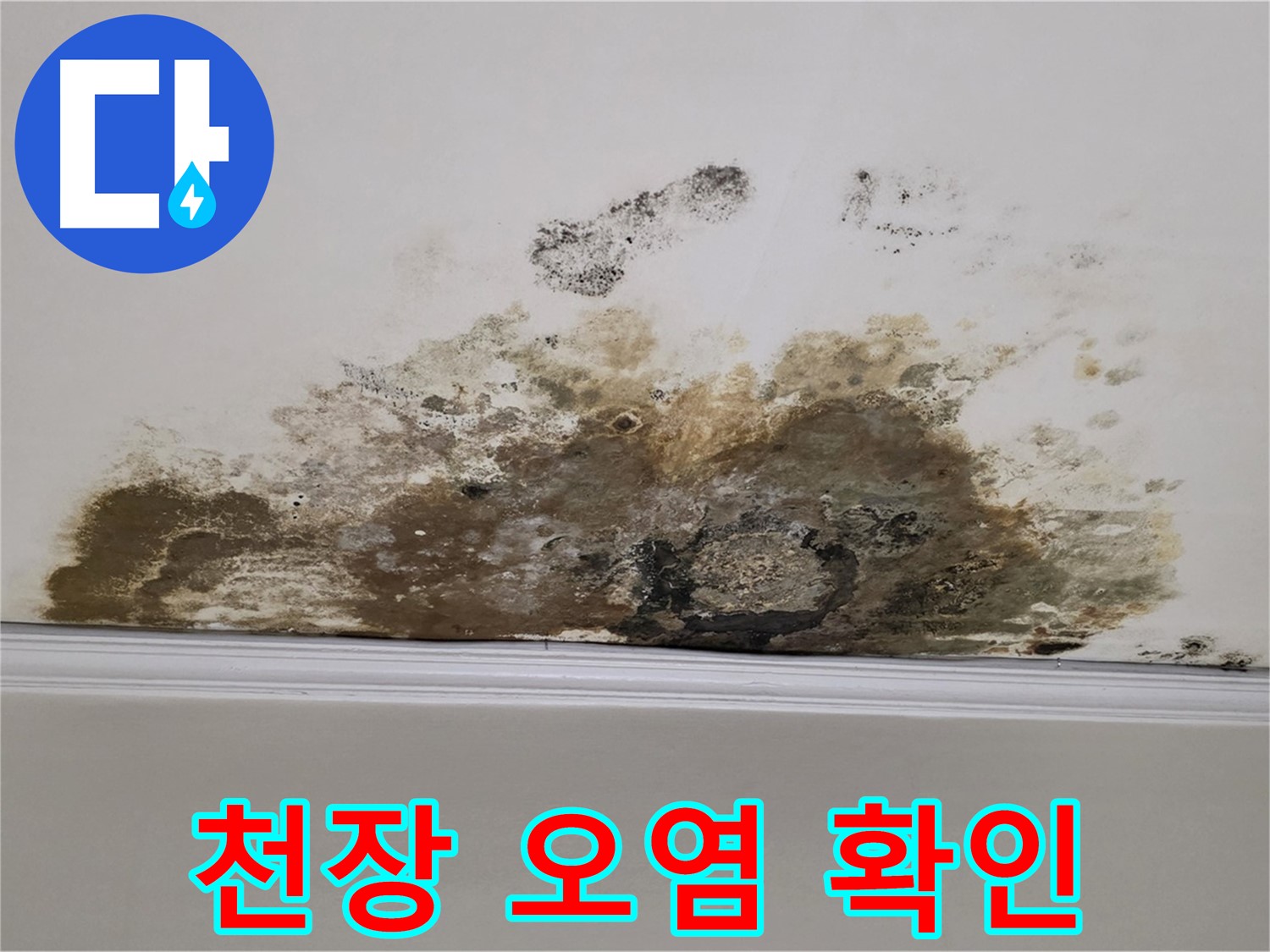 용강동 현대홈타운 아파트 누수 - 곰팡이 제거 전 심각한 천장 오염 상태 확인