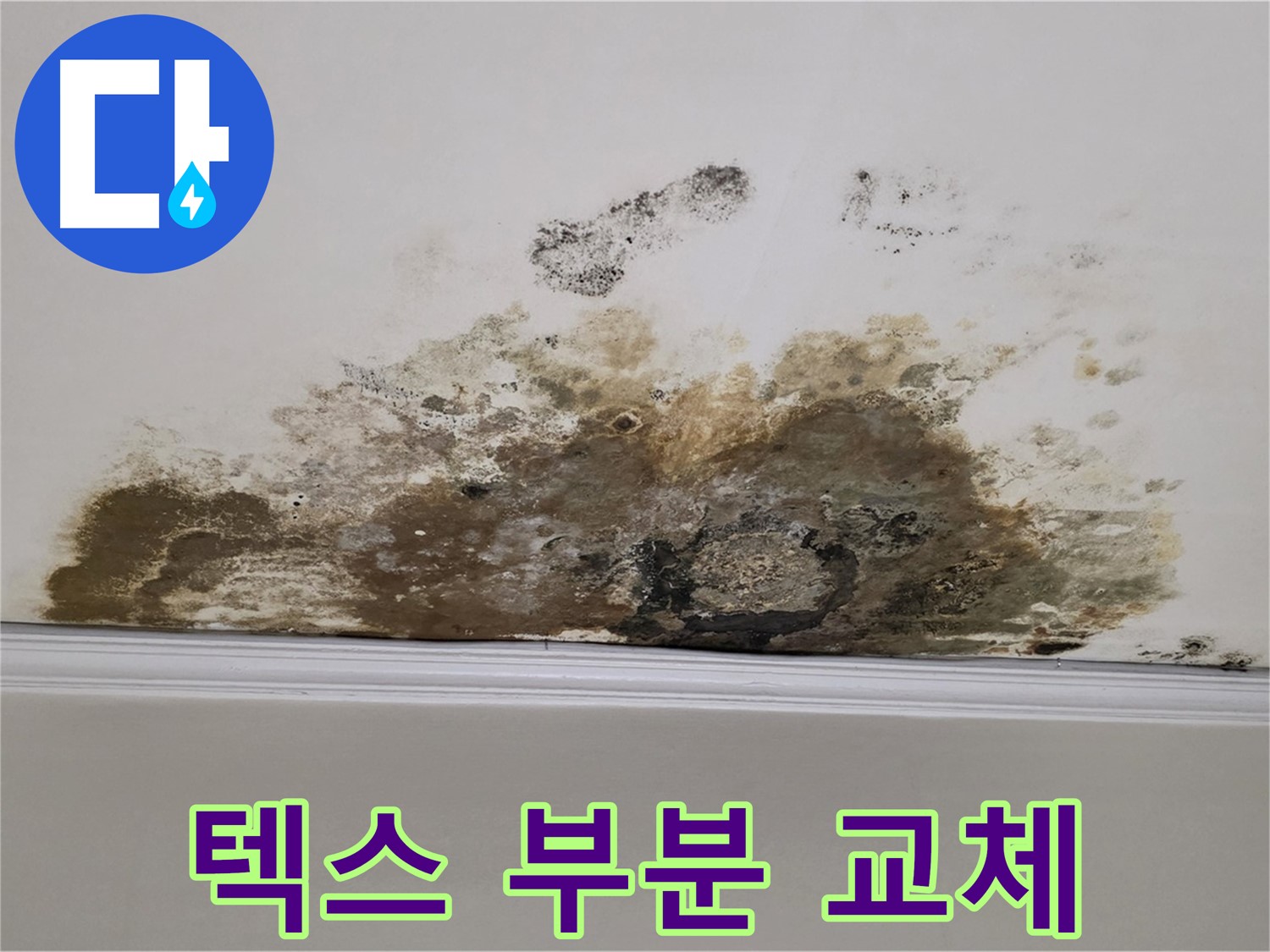 용강동 현대홈타운 아파트 누수 - 곰팡이로 인한 천장 텍스 오염 - 텍스 부분 교체
