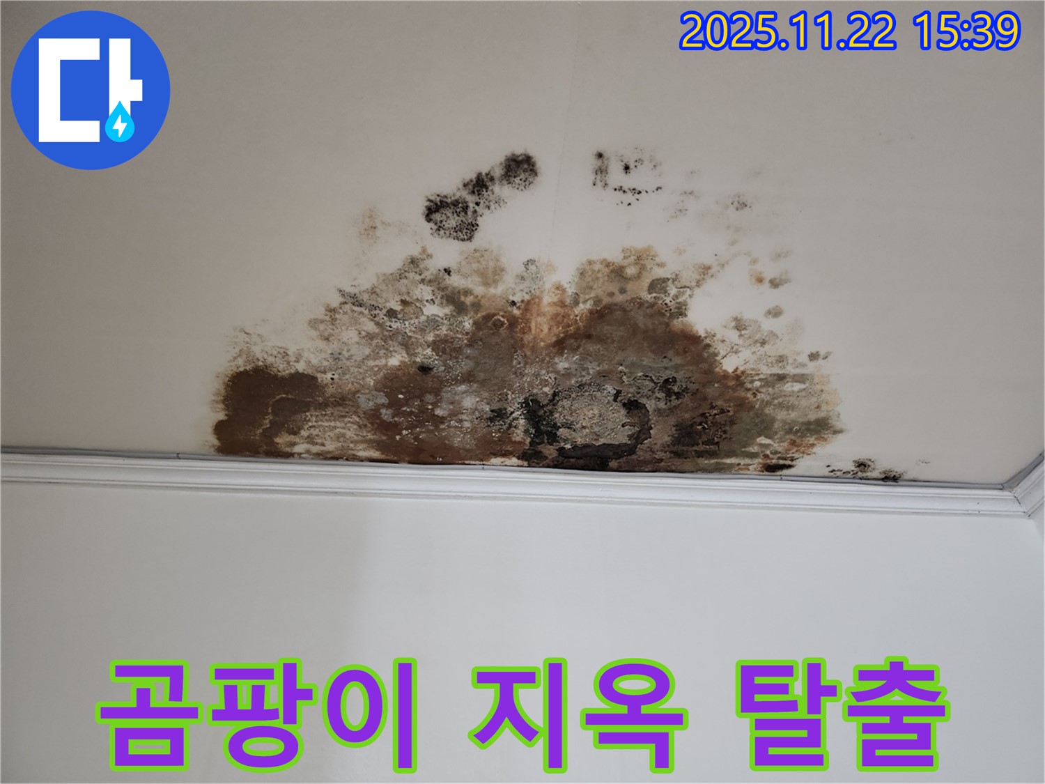 천장 누수, 곰팡이 지옥 탈출 - 마포구 용강동 새창로8길 누수 해결사 출동