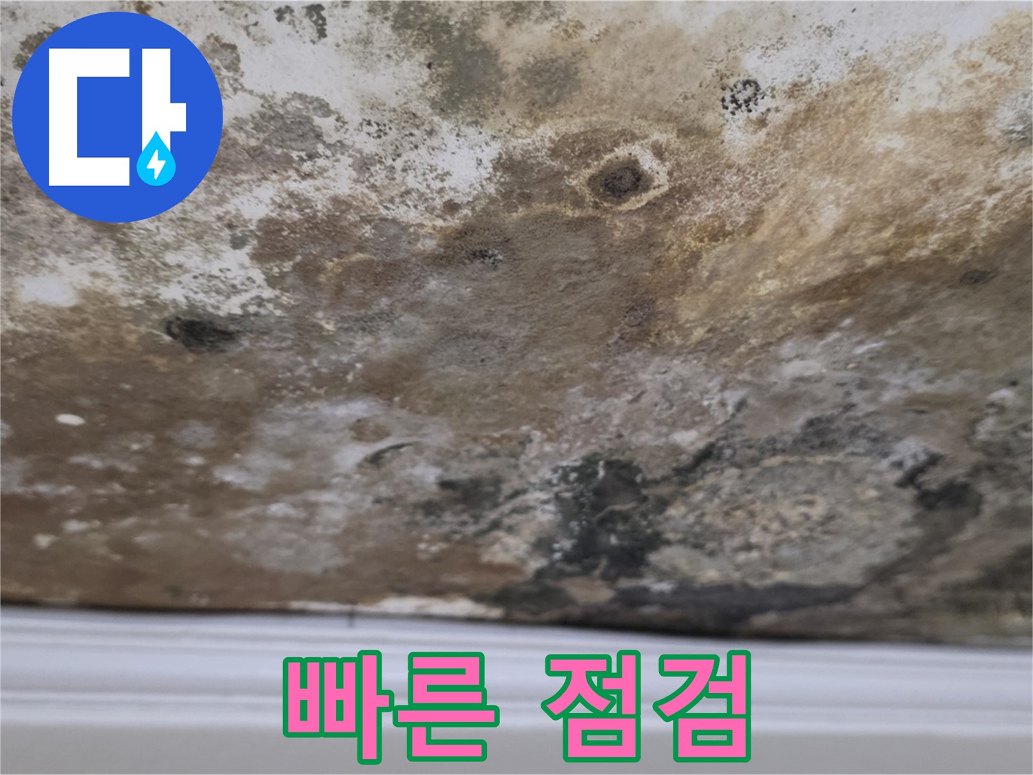 현대홈타운 곰팡이 천장 - 빠른 점검이 중요합니다