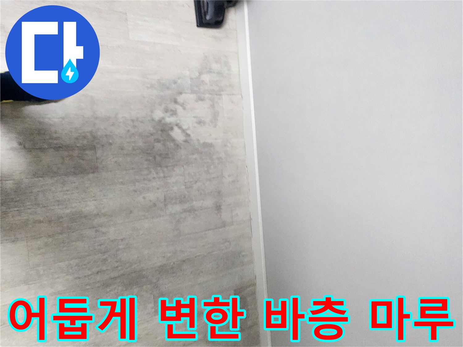누수로 인해 어둡게 얼룩진 아파트 거실 마루