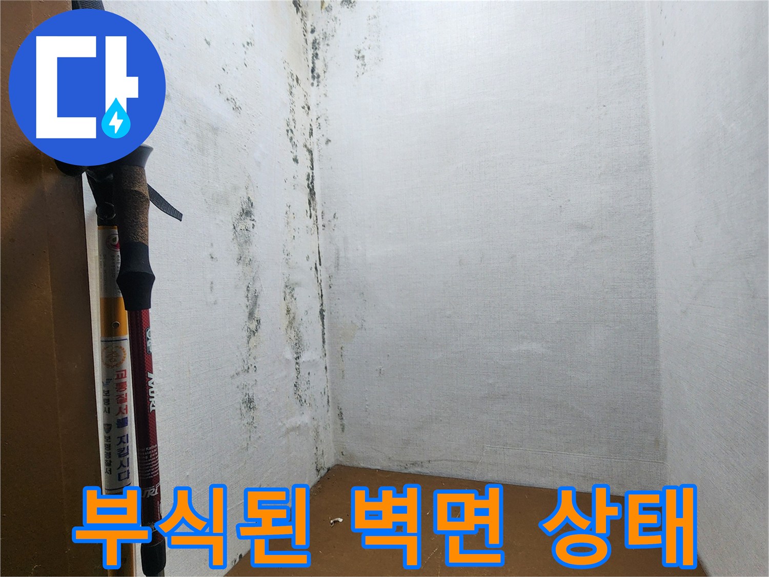 습기로-인해-페인트가-벗겨지고-곰팡이가-발생한-벽체