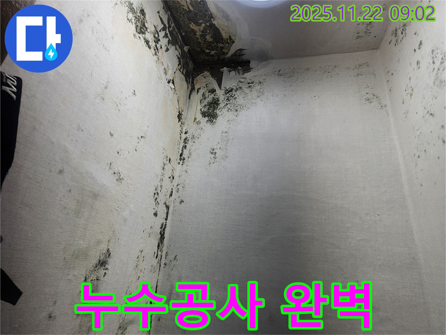신곡1동 누수공사 - 곰팡이 심한 벽을 완벽하게 고치는 과정