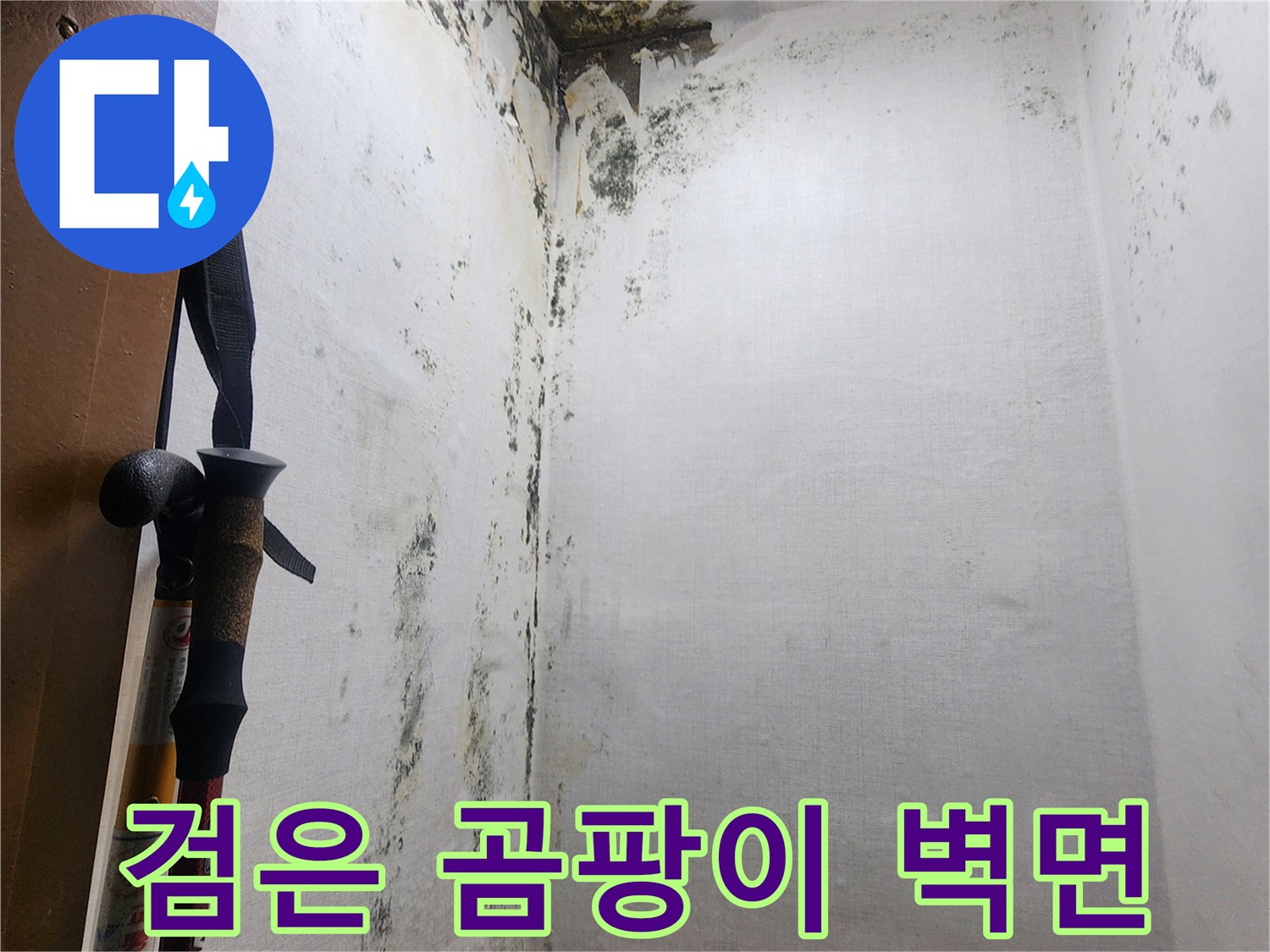 신곡동-다용도실-내부-곰팡이-및-습기-오염-상태