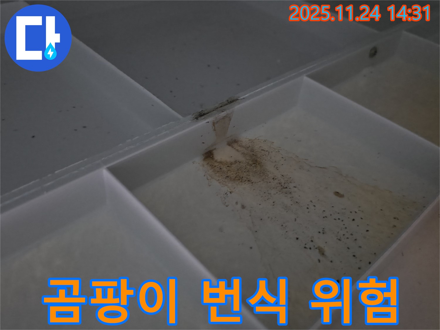 묵동 신안3차아파트 누수 - 싱크대 누수를 방치하면 곰팡이가 번식할 수 있습니다.