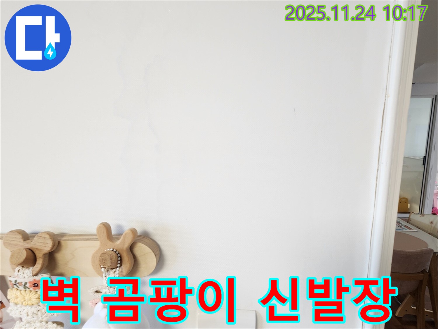 벽에 곰팡이가 핀 사진 - 금현리 누수탐지 업체에서 벽에 곰팡이가 핀 경우 신발장 안쪽부터 확인해야 하는 이유를 설명합니다.