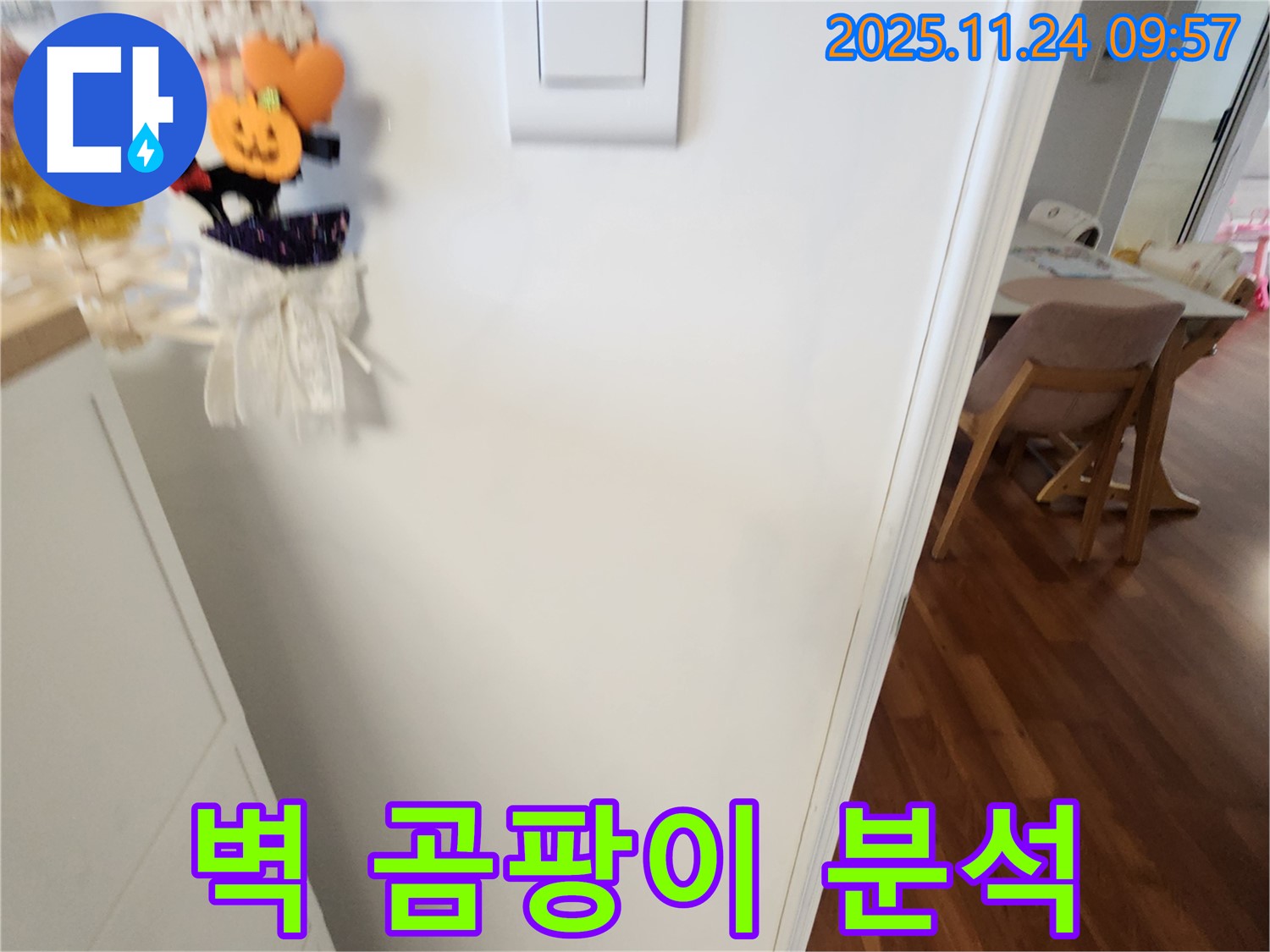 포천 가산면 금현리 누수 - 벽에 핀 곰팡이의 상태를 꼼꼼하게 분석하고 있습니다.