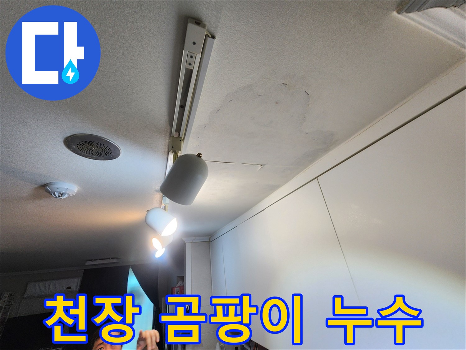 공릉2단지 아파트 천장 누수 - 곰팡이 발생 - 건강 위협 - 긴급 점검 필요