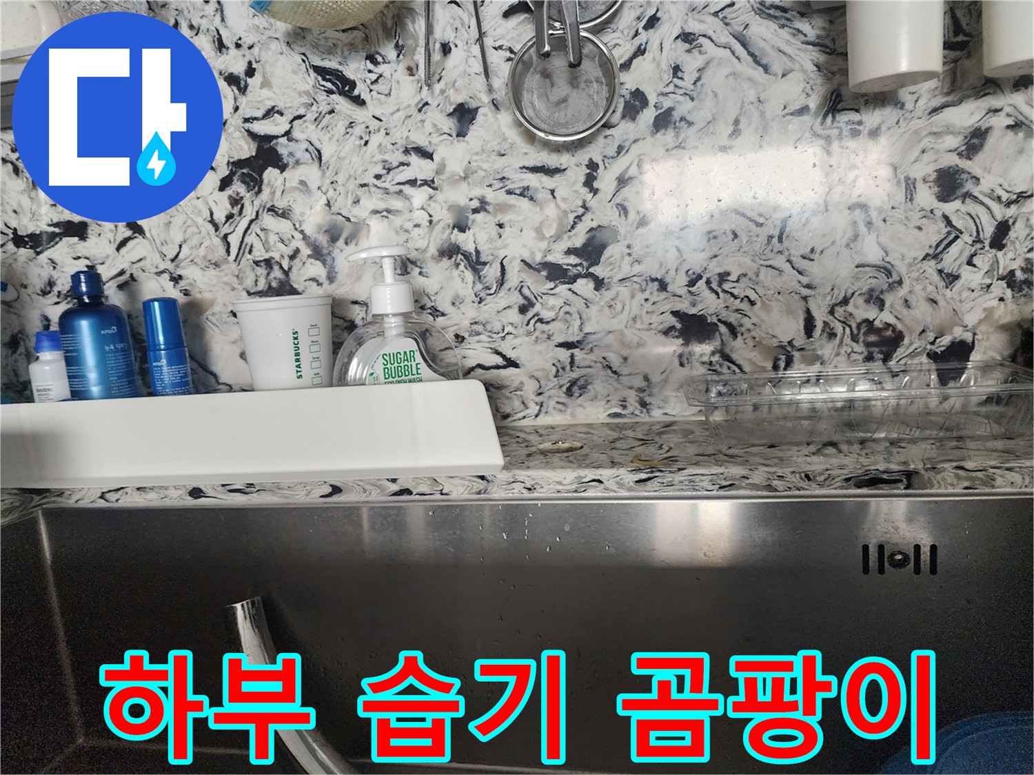 싱크대 하부 습기 및 곰팡이 - 분당구 대장동 주택에서 발생한 문제 해결