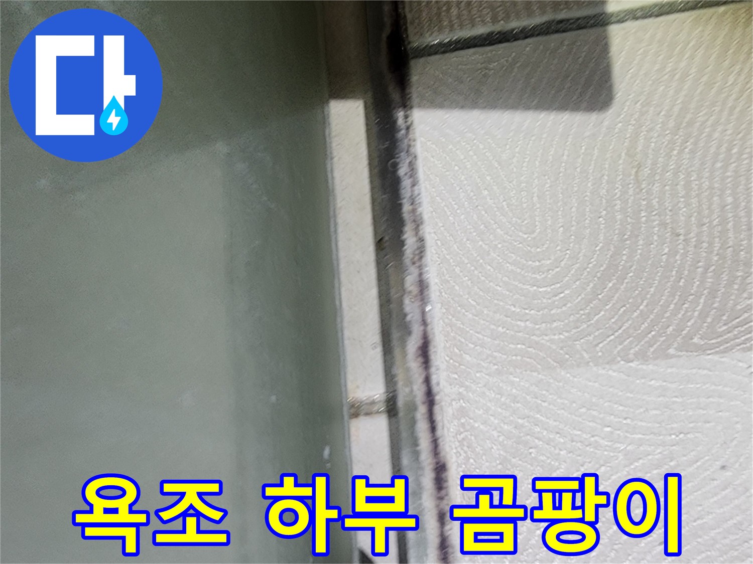 광교 e편한세상 누수 - 욕조 하부 실리콘에 곰팡이가 심하게 핀 모습