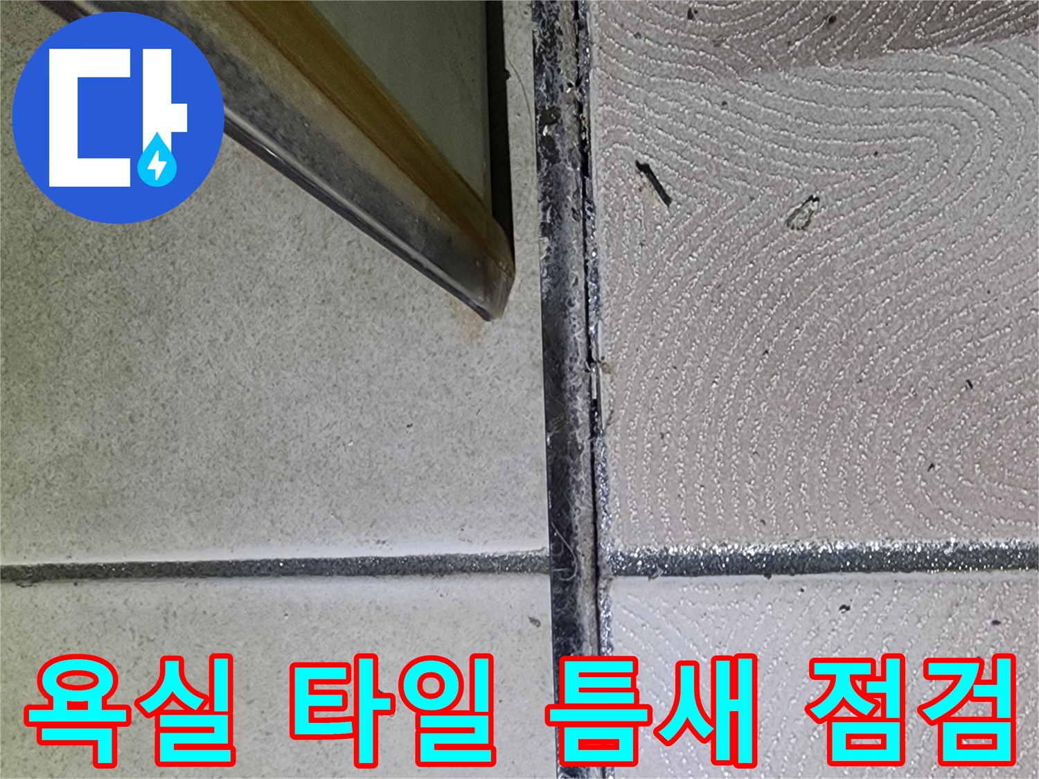 광교 e편한세상 욕실 타일 틈새 점검 - 누수 가능성 확인