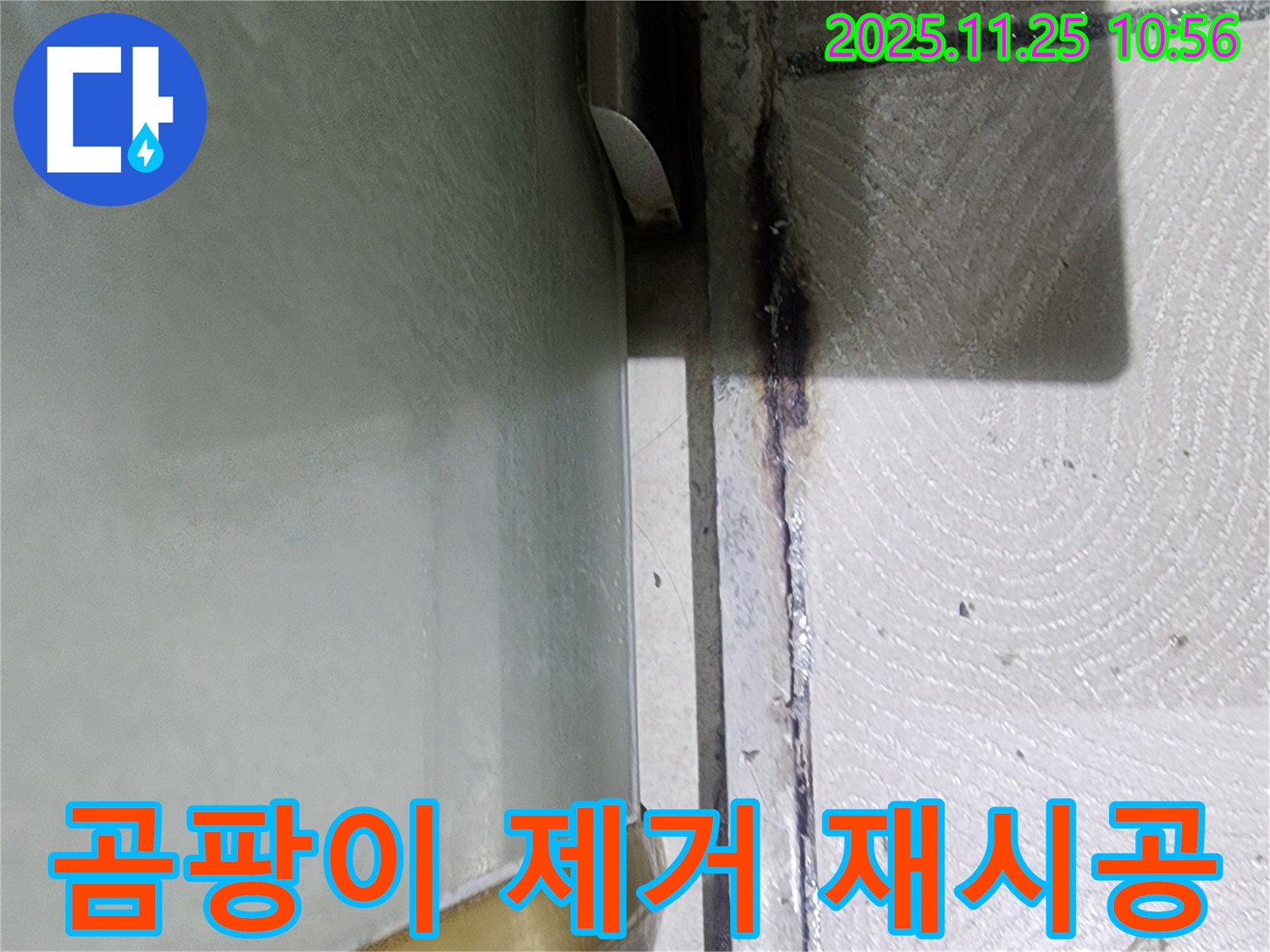샤워부스 곰팡이 제거 - 실리콘 재시공으로 누수 해결