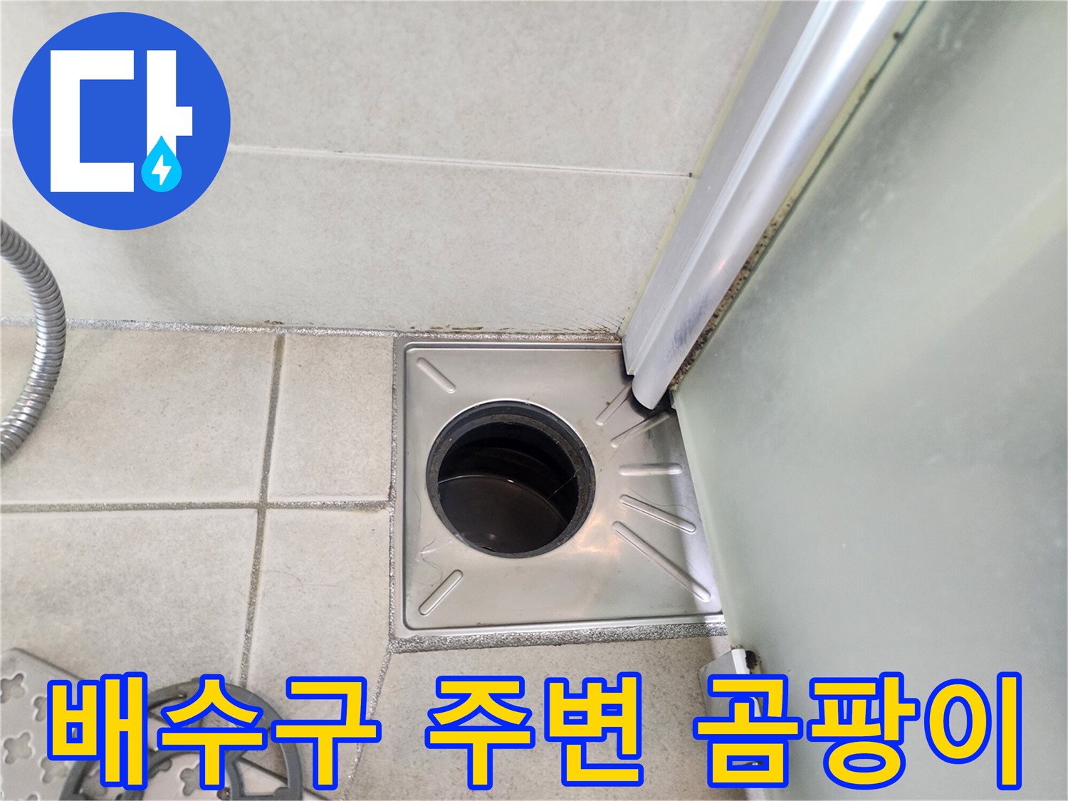 욕실 배수구 주변 곰팡이 발생 확인 - 누수 의심