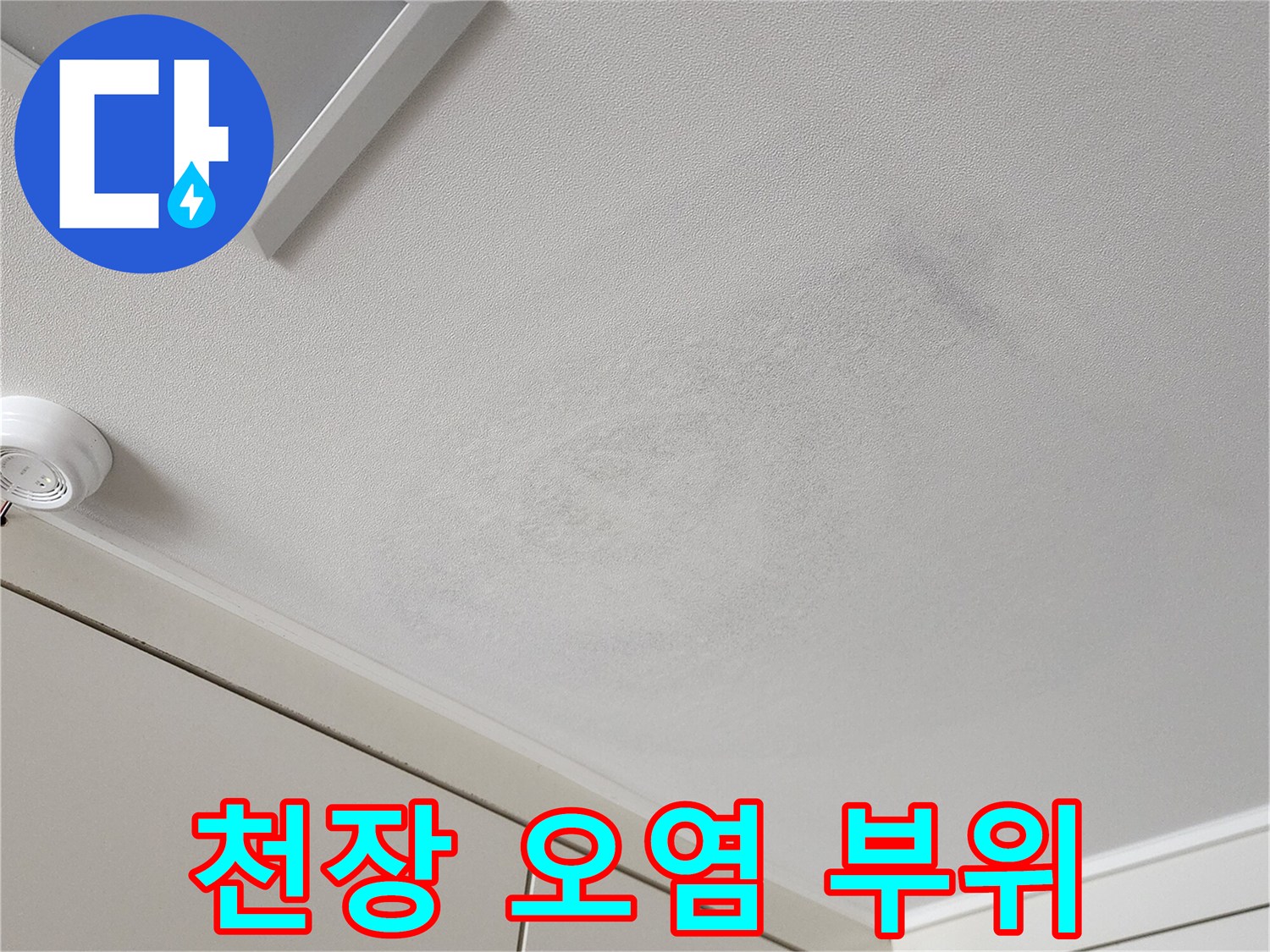변색된 천장 벽지와 습기가 머문 흔적