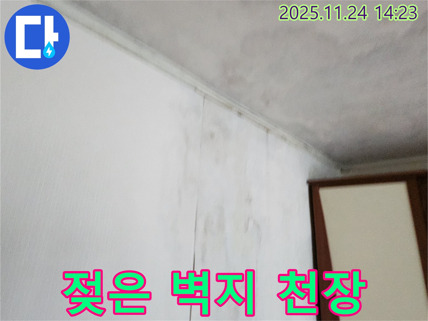 젖은 벽지 - 늘어진 벽지 - 얼룩진 천장 - 누수로 인해 벽지와 천장이 손상된 모습입니다 - 긴급 누수 진단이 필요합니다.