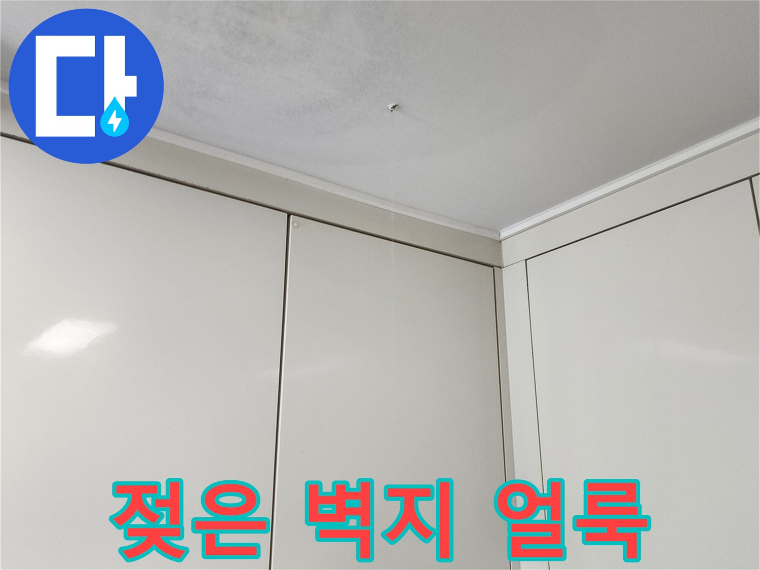 천장 중앙부의 짙은 습기 자국