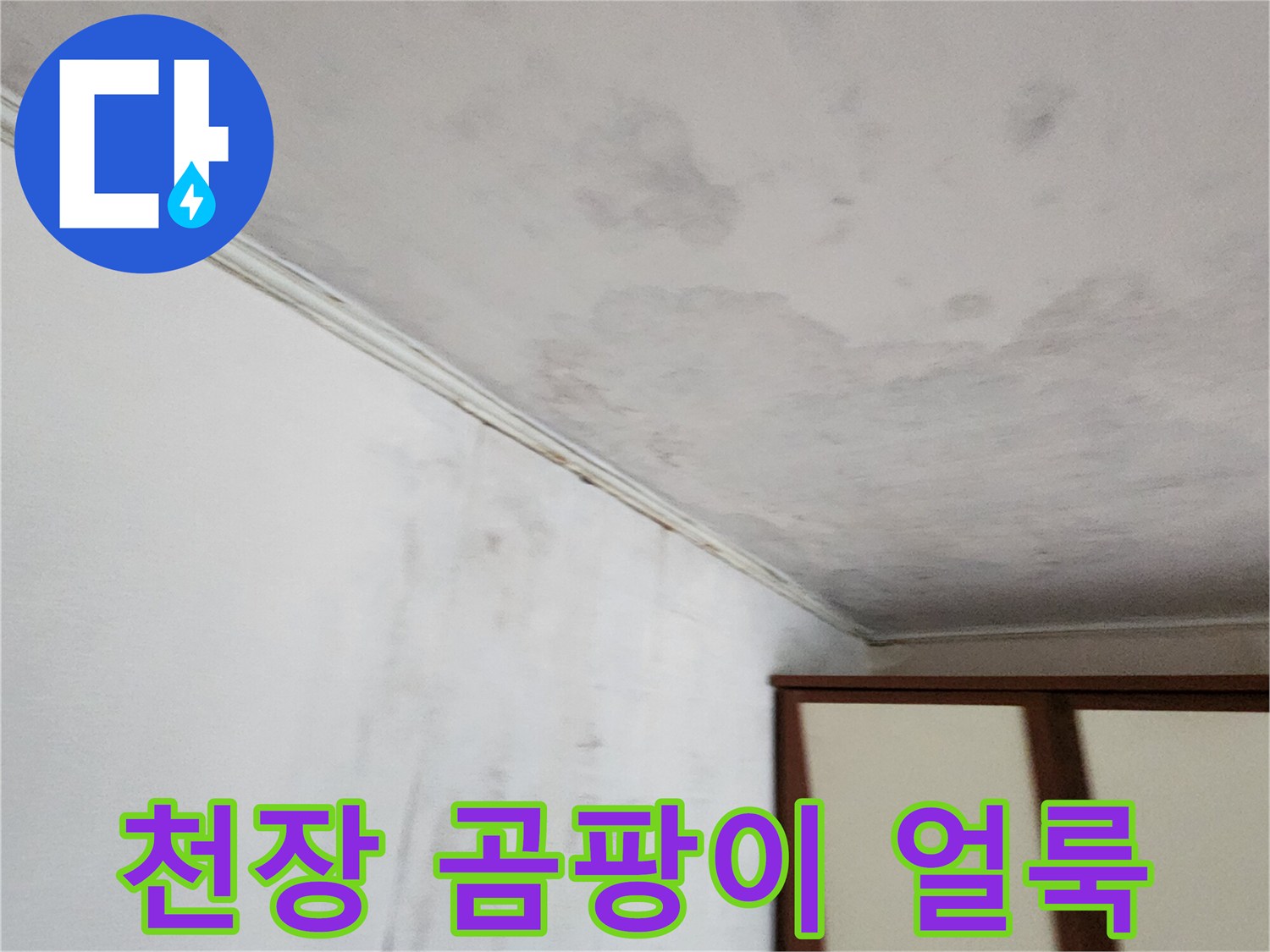 포천 가산면 현장의 천장 벽지 변색과 곰팡이 상태