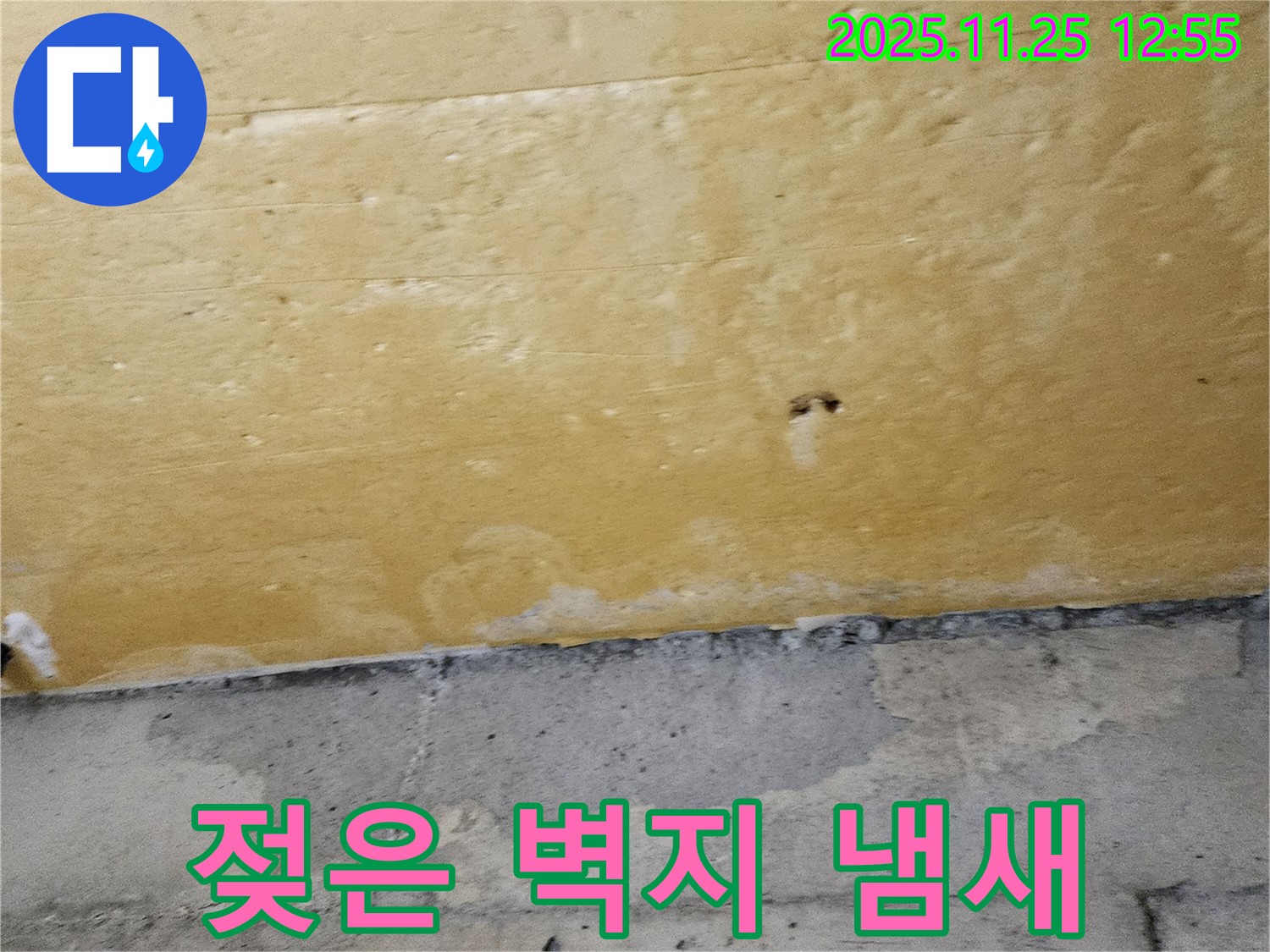 젖은 벽지 냄새 - 불쾌지수 상승 - 누수 의심