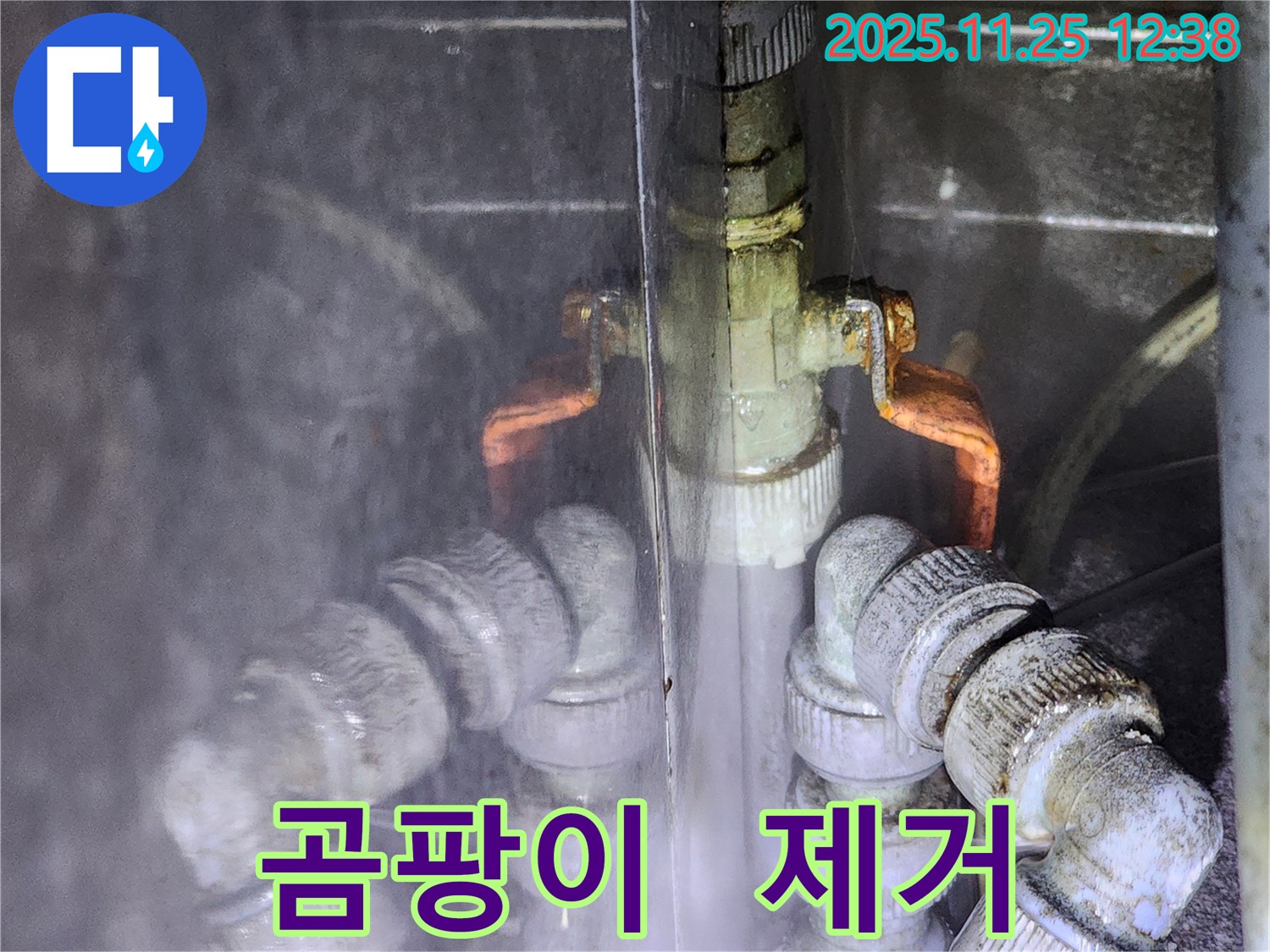 포천 신북면 누수 - 누수 때문에 곰팡이가 생겼나요? - 곰팡이 제거까지 완벽하게!