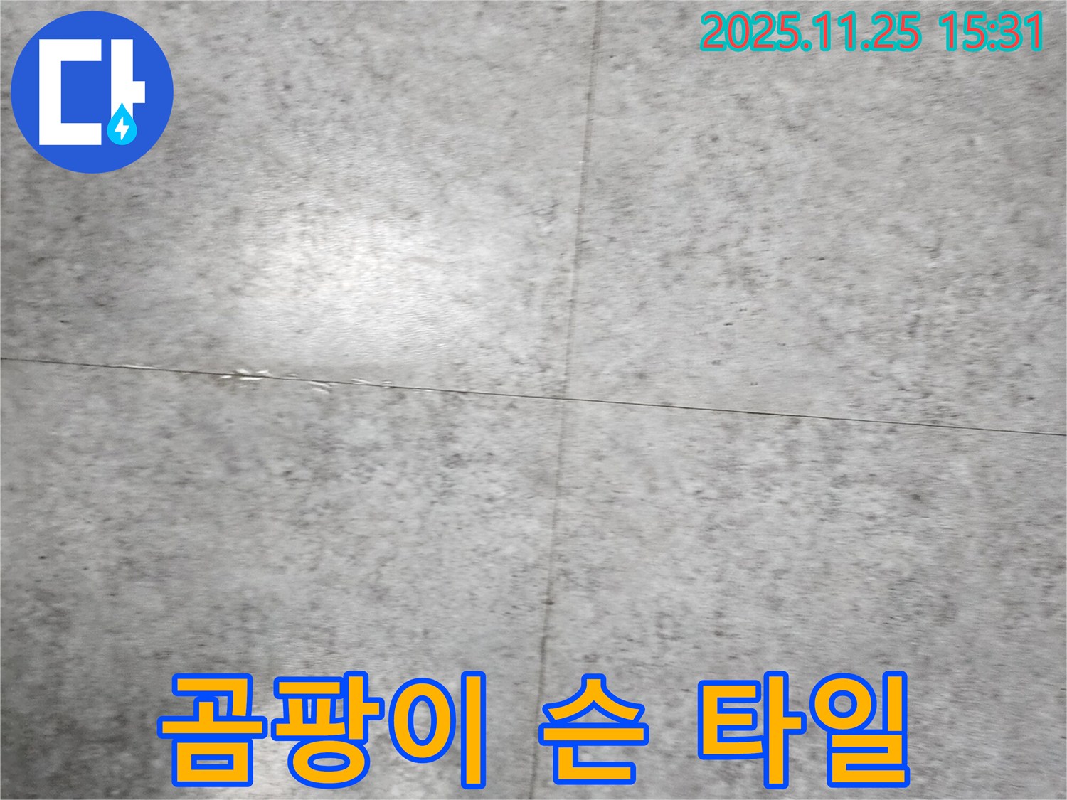 곰팡이 슨 타일 - 누수 문제 해결이 우선입니다.