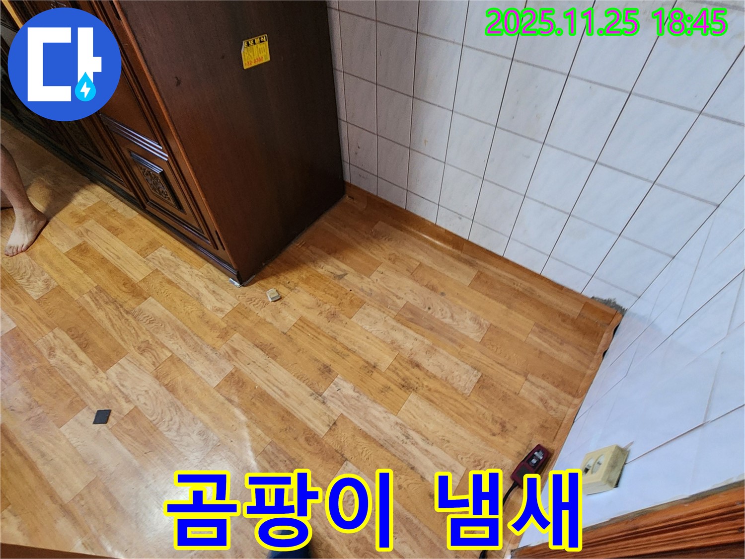 포천시 신북면 심곡리 - 곰팡이 냄새 - 장판 밑 습기 때문