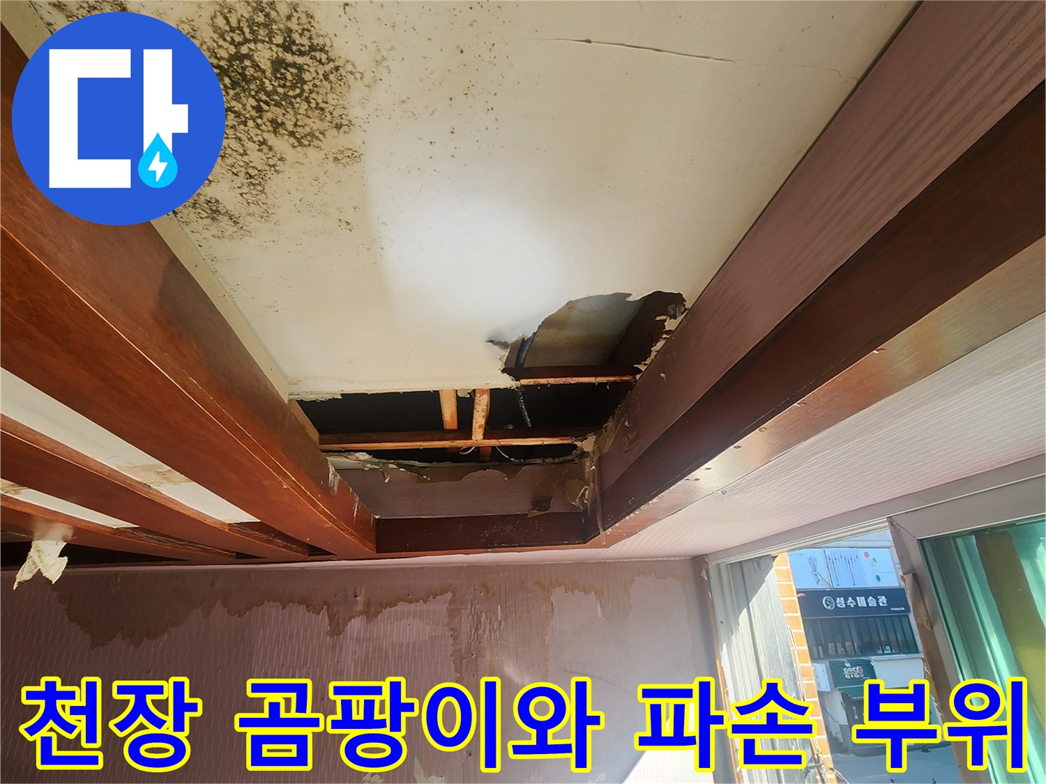 천장 마감재 파손 및 곰팡이 발생 상태-누수 진단 현장