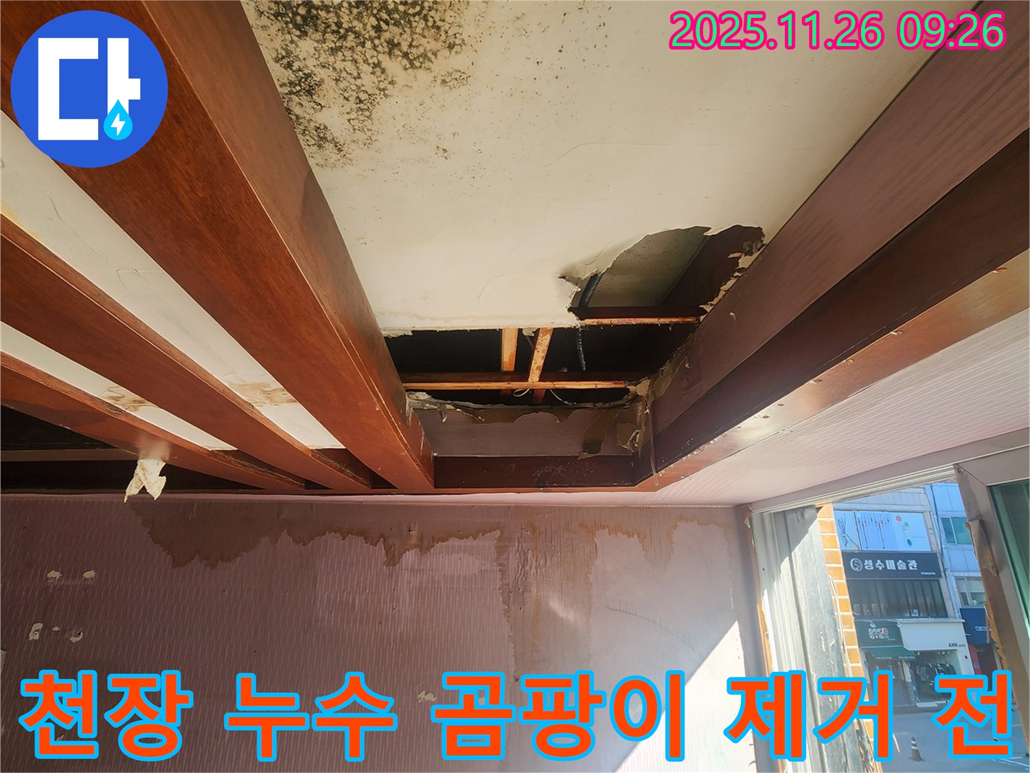 포천시 신북면에서 발생한 천장 누수 현장 - 곰팡이 제거 전 젖어있는 천장 상태를 보여줍니다.