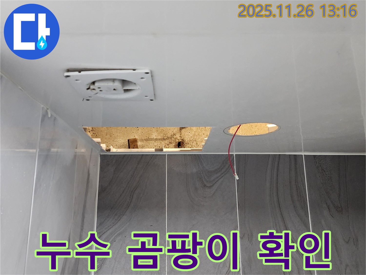포천시 신북면 고일리 욕실 천장 - 누수 흔적과 곰팡이 발생 여부를 확인하고 있습니다.