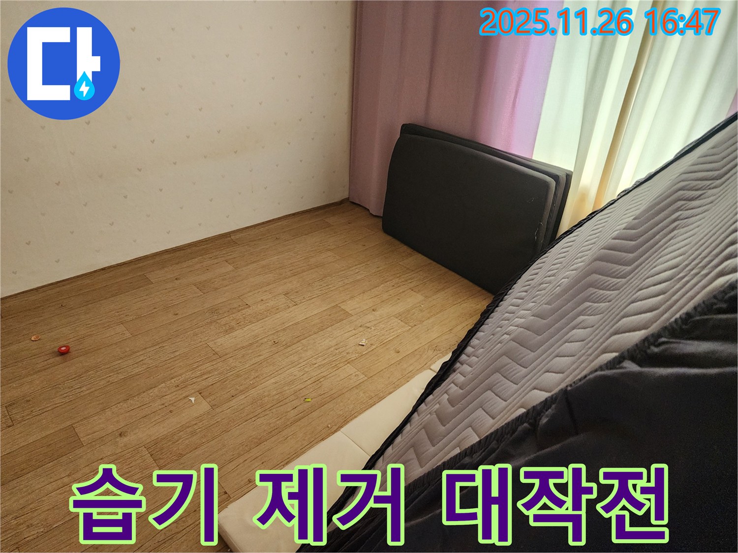 포천 신북면 삼성당리 누수 - 침대 밑 곰팡이 습기 완벽 제거 대작전