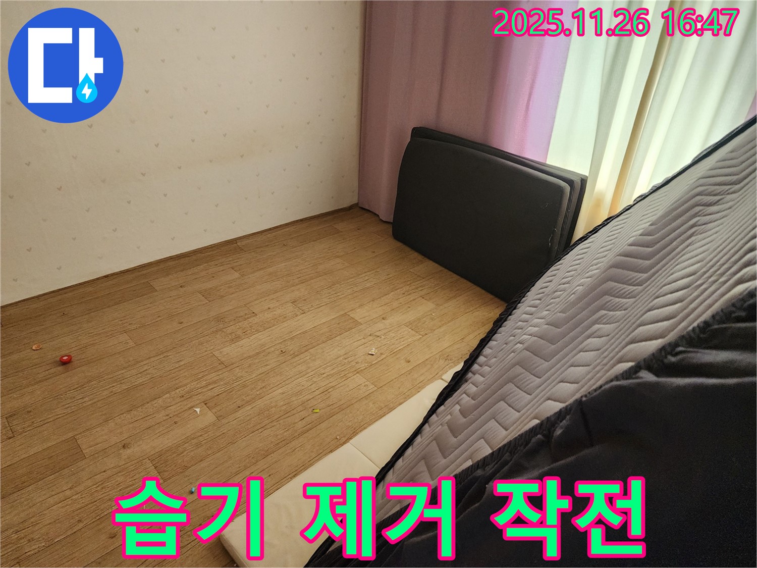 포천 신북면 삼성당리 누수 - 침대 밑 곰팡이 습기 완벽 제거 작전