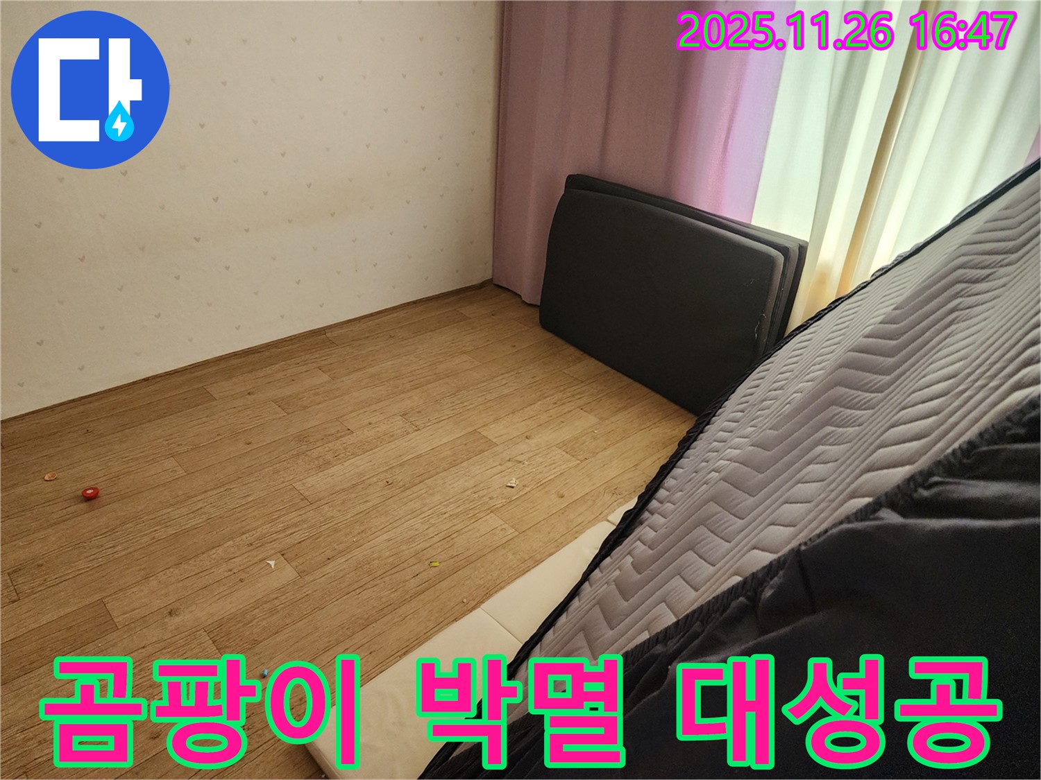 포천 신북면 삼성당리 누수 - 침대 밑 곰팡이 완벽 박멸 작전 대성공