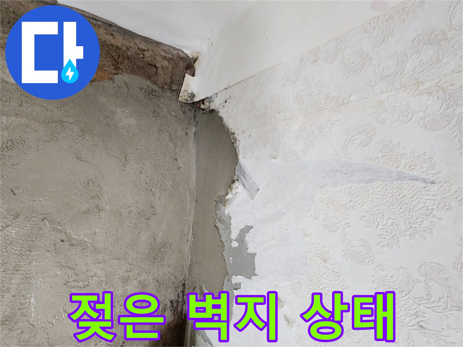 포천 신북면 현장-물샘으로 인해 훼손된 벽지와 하단 미장 부위