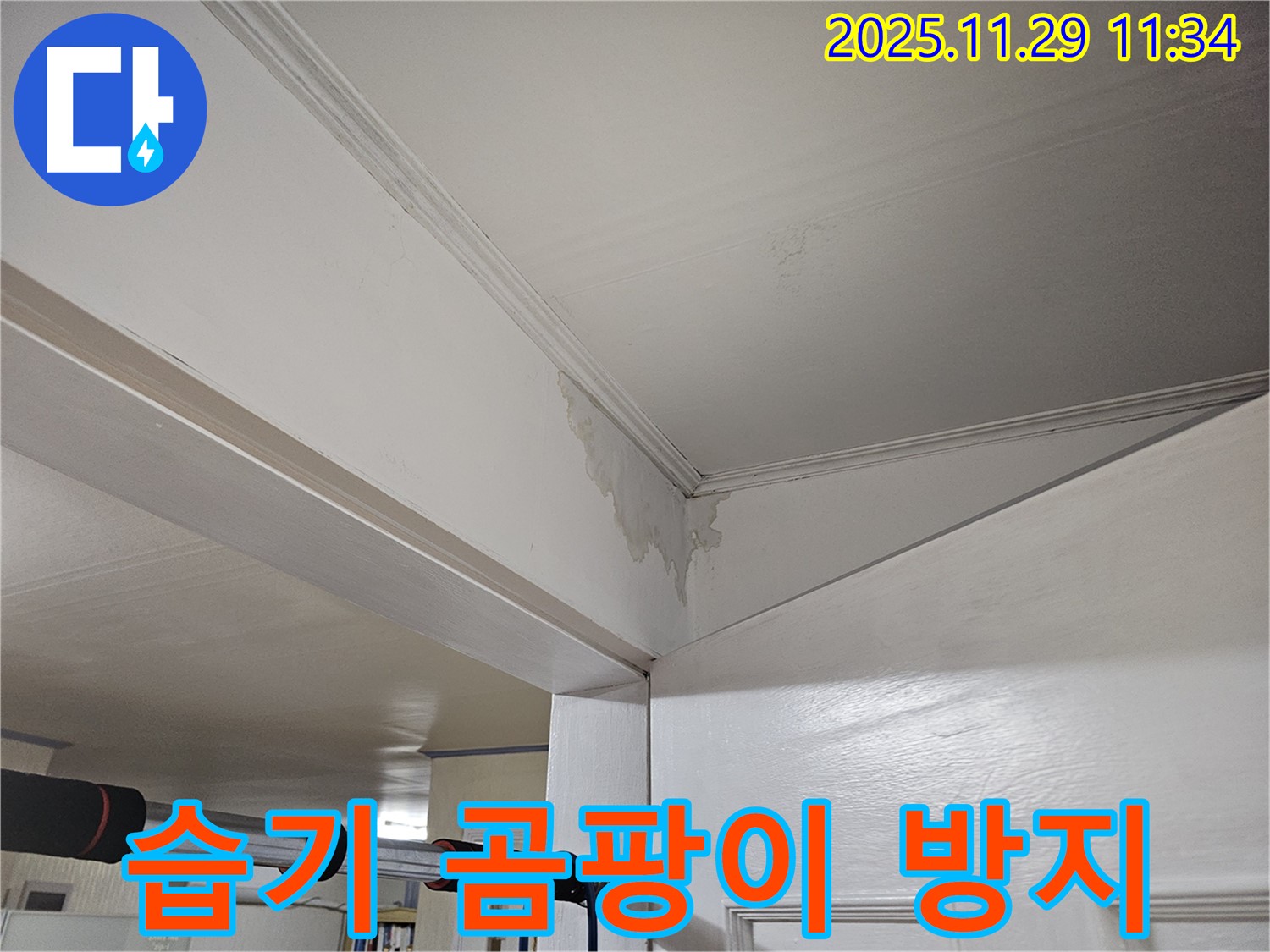 파주시 광탄면 천장 누수 - 천장 습기 가득, 곰팡이 방지 긴급 시공으로 쾌적하게!