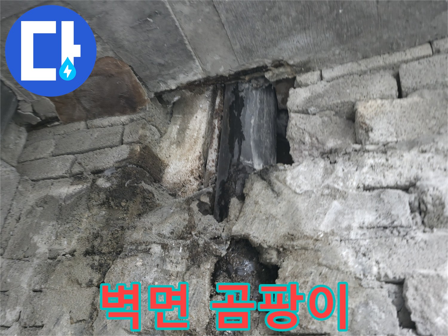 벽면 곰팡이 - 누수로 인해 벽면에 곰팡이가 발생하여 건강을 위협하고 있습니다.