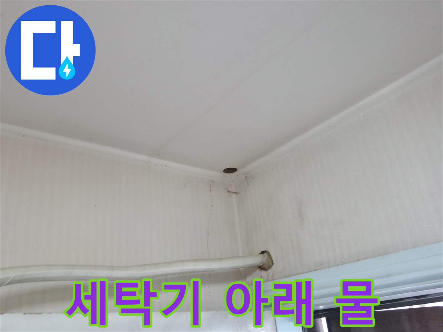 서초2동 341-1 세탁기 물 - 배수 문제 의심!