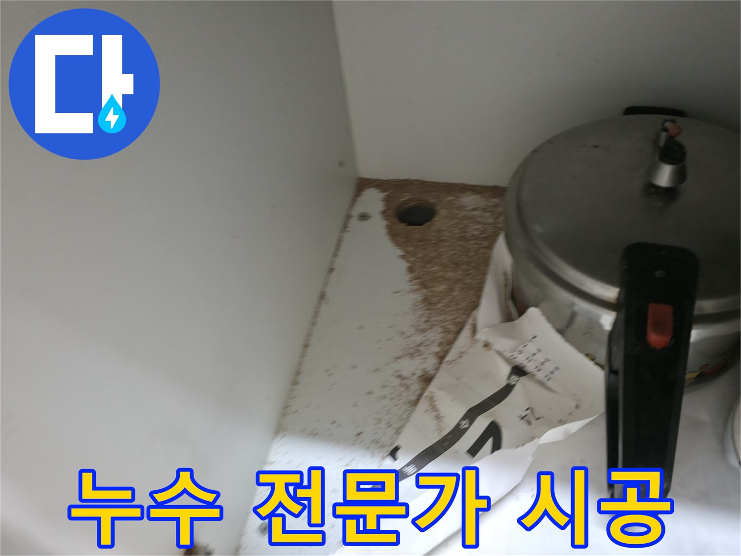 싱크대 밑 - 톱밥 - 흰개미 의심 - 긴급 점검 필요
