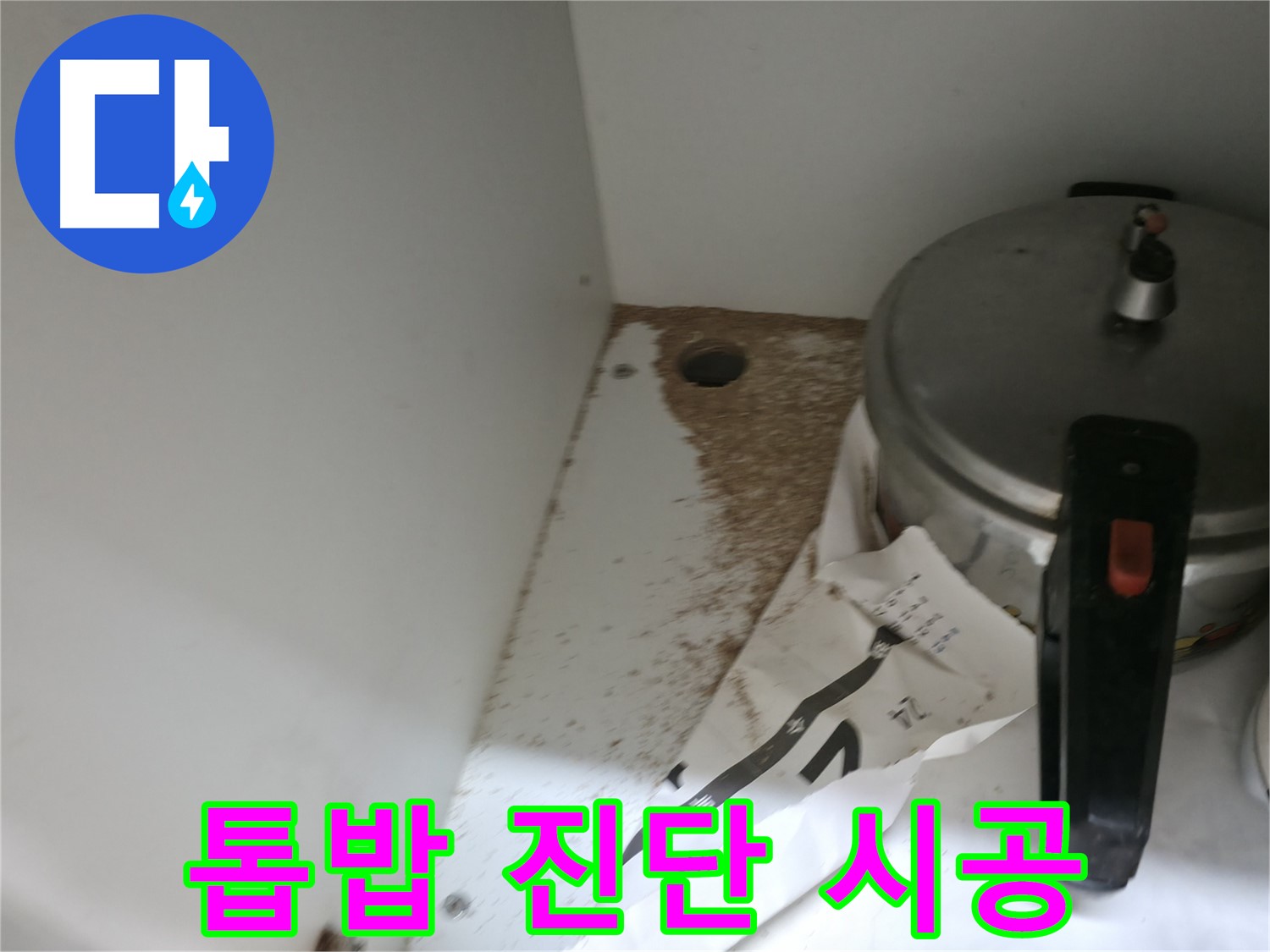 싱크대 밑 - 톱밥 - 나무 썩는 냄새 - 악취의 원인