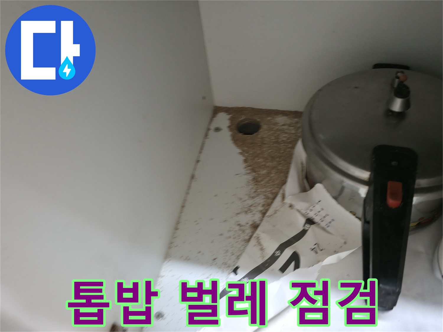 서초2동 싱크대 누수 - 톱밥, 벌레 문제 긴급 점검 및 해결
