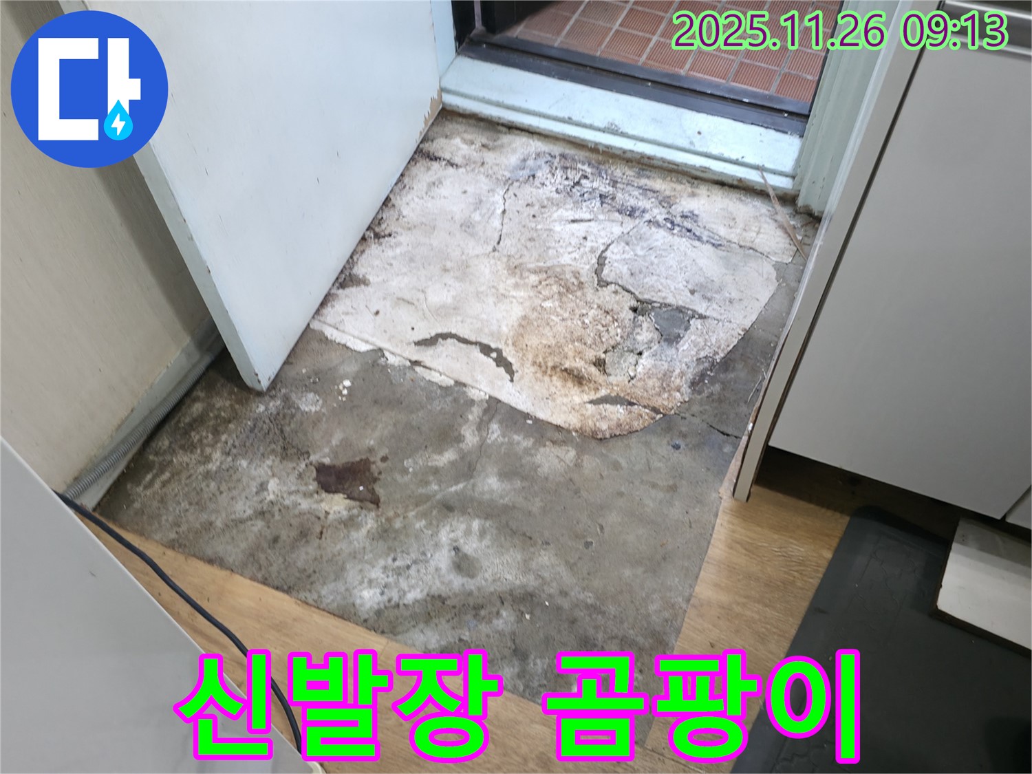 서초2동 현관 신발장 곰팡이 냄새 - 숨겨진 누수 의심, 악취 제거 필요