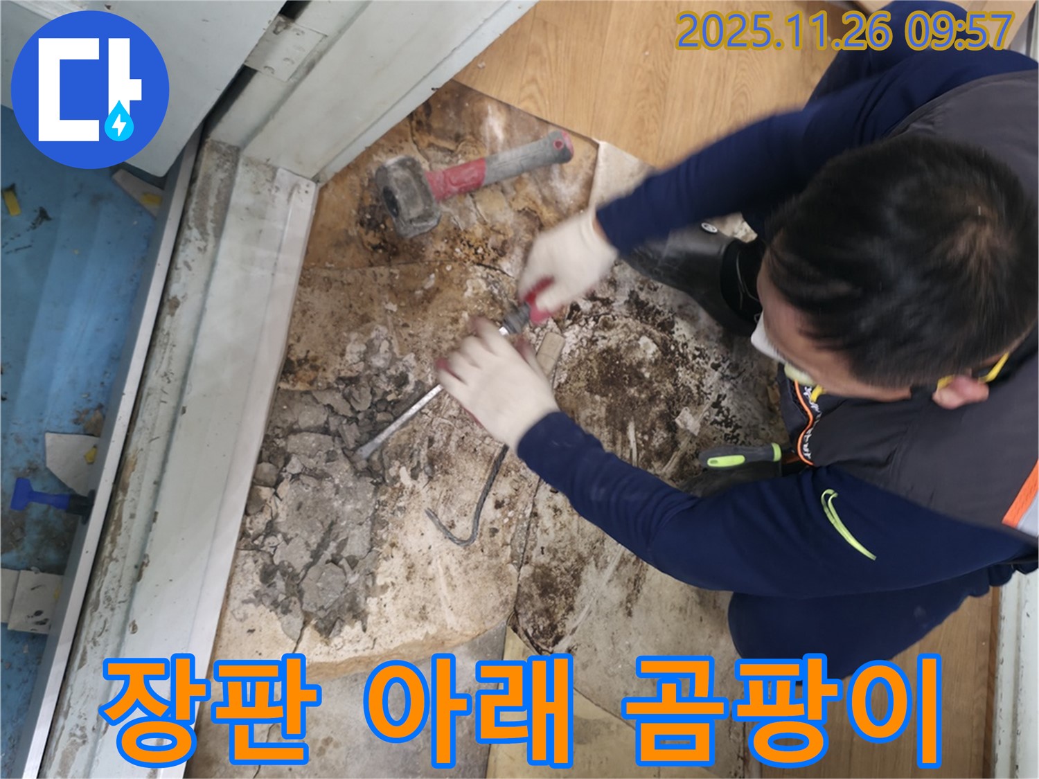 서초구 명달로 장판 아래 곰팡이 - 누수로 인해 장판 아래에 심하게 번식한 곰팡이의 모습입니다.