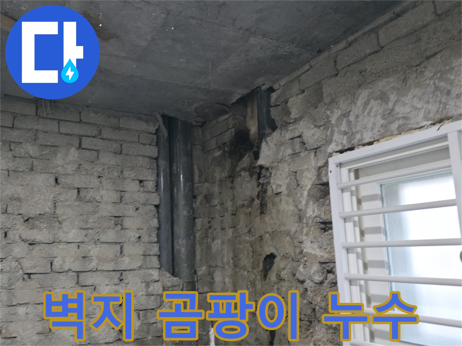 서초구 명달로4길 누수 - 벽지에 곰팡이가 심하게 발생했습니다 - 누수 해결과 곰팡이 제거를 동시에 진행했습니다.