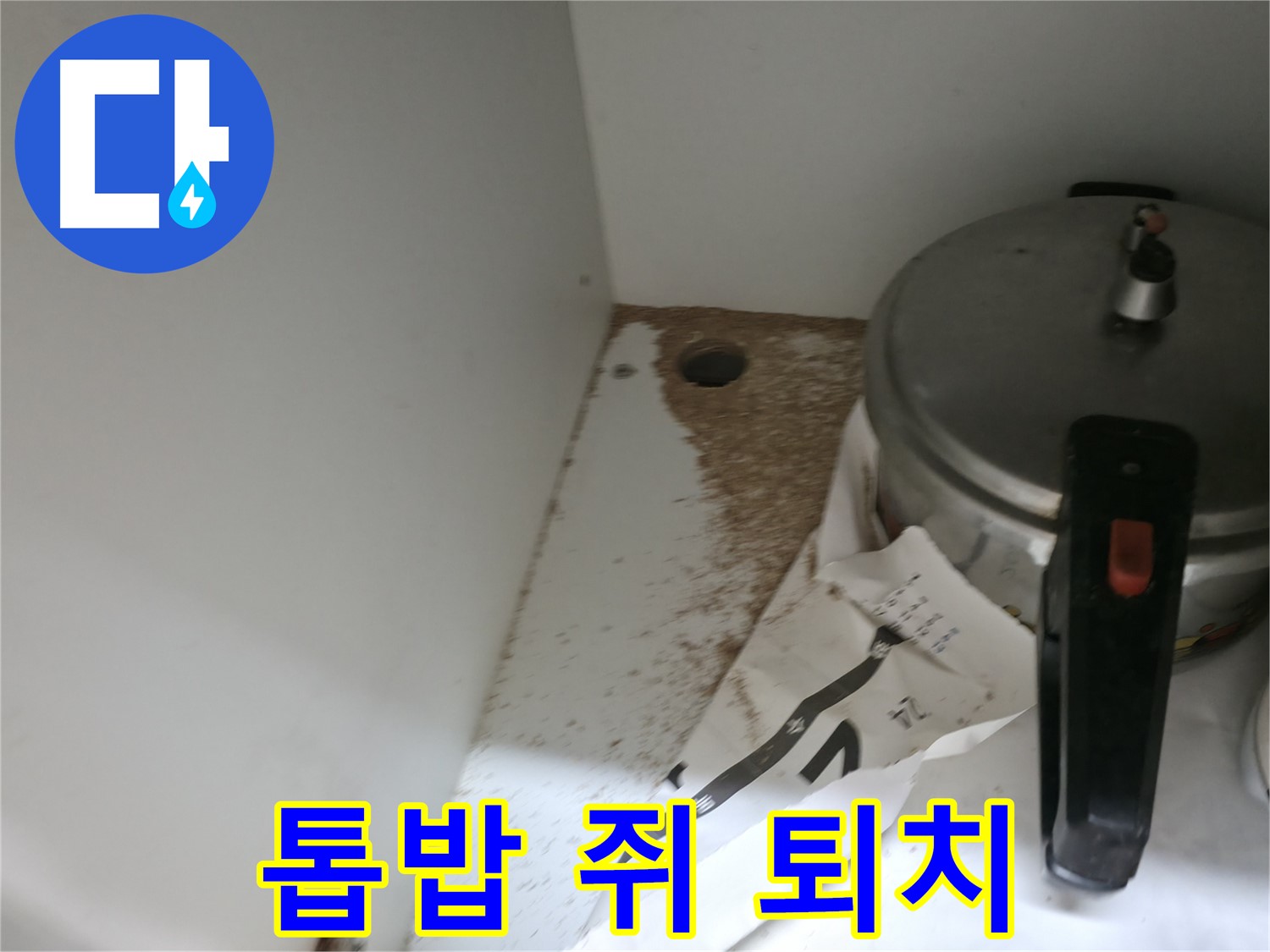 서초구 명달로4길 싱크대 누수 - 톱밥, 쥐똥 발견 완벽 퇴치, 철저 위생 관리, 안심