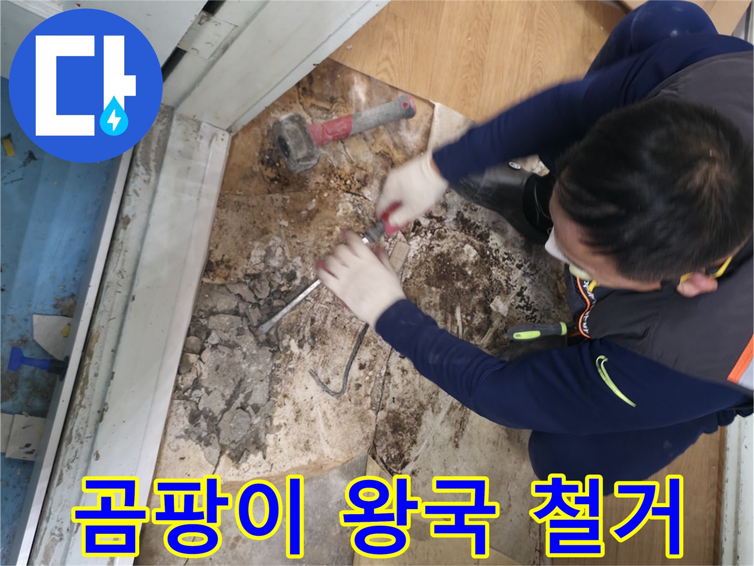 서초구 서초2동 누수 - 곰팡이 왕국 바닥 철거